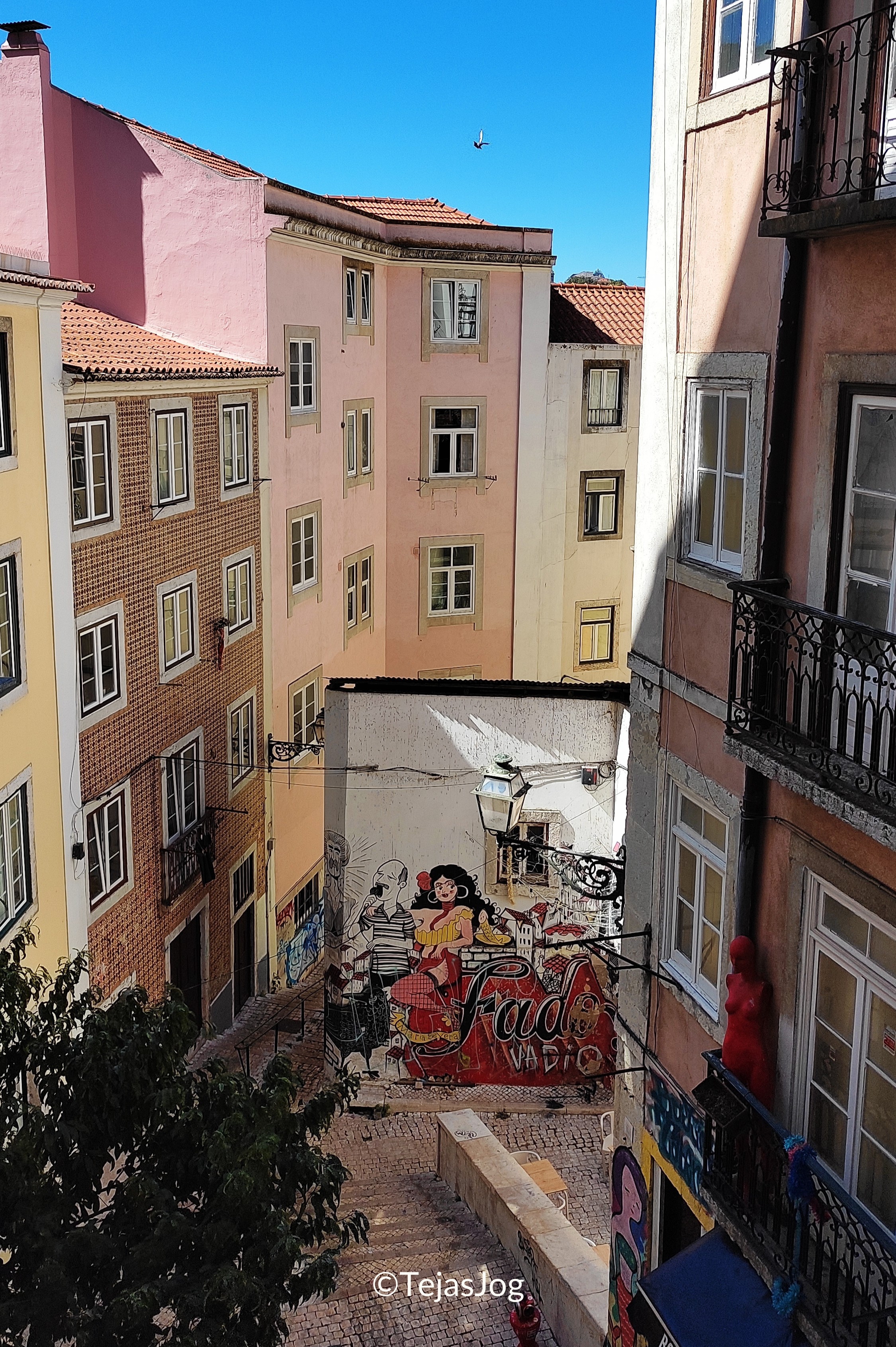 Mural Graffiti Fado Vadio