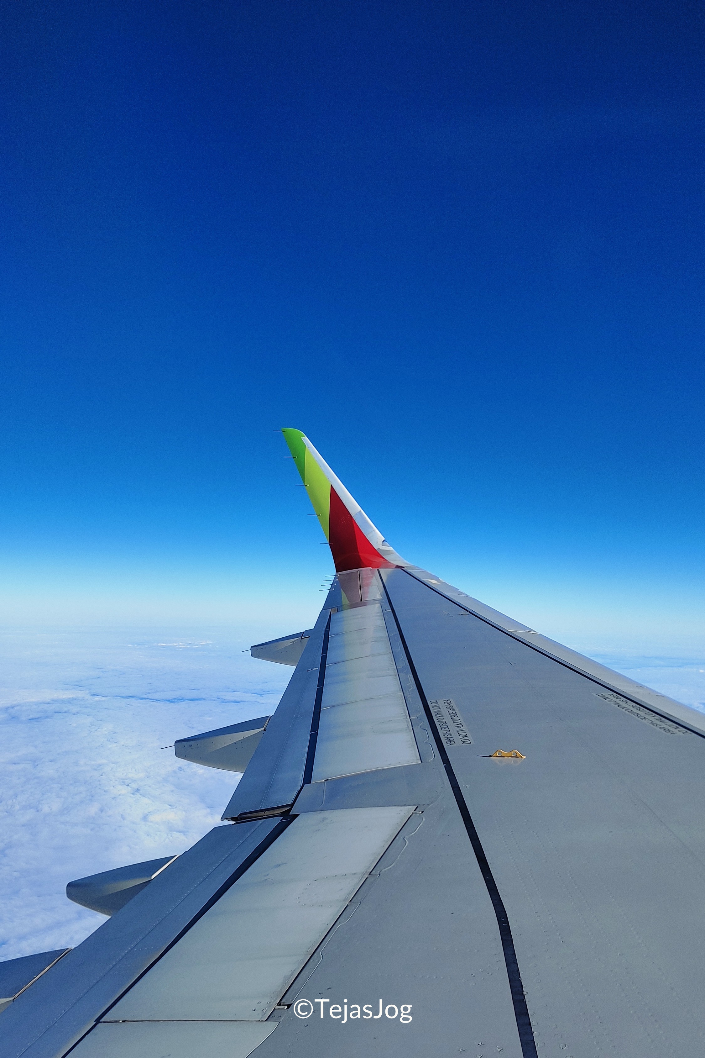 TAP Air Portugal 481