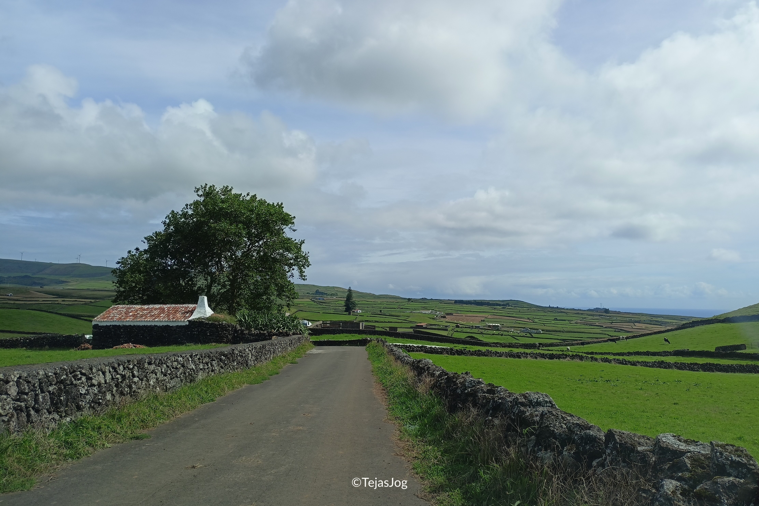 Pico Dona Joana Pico Dona Joana