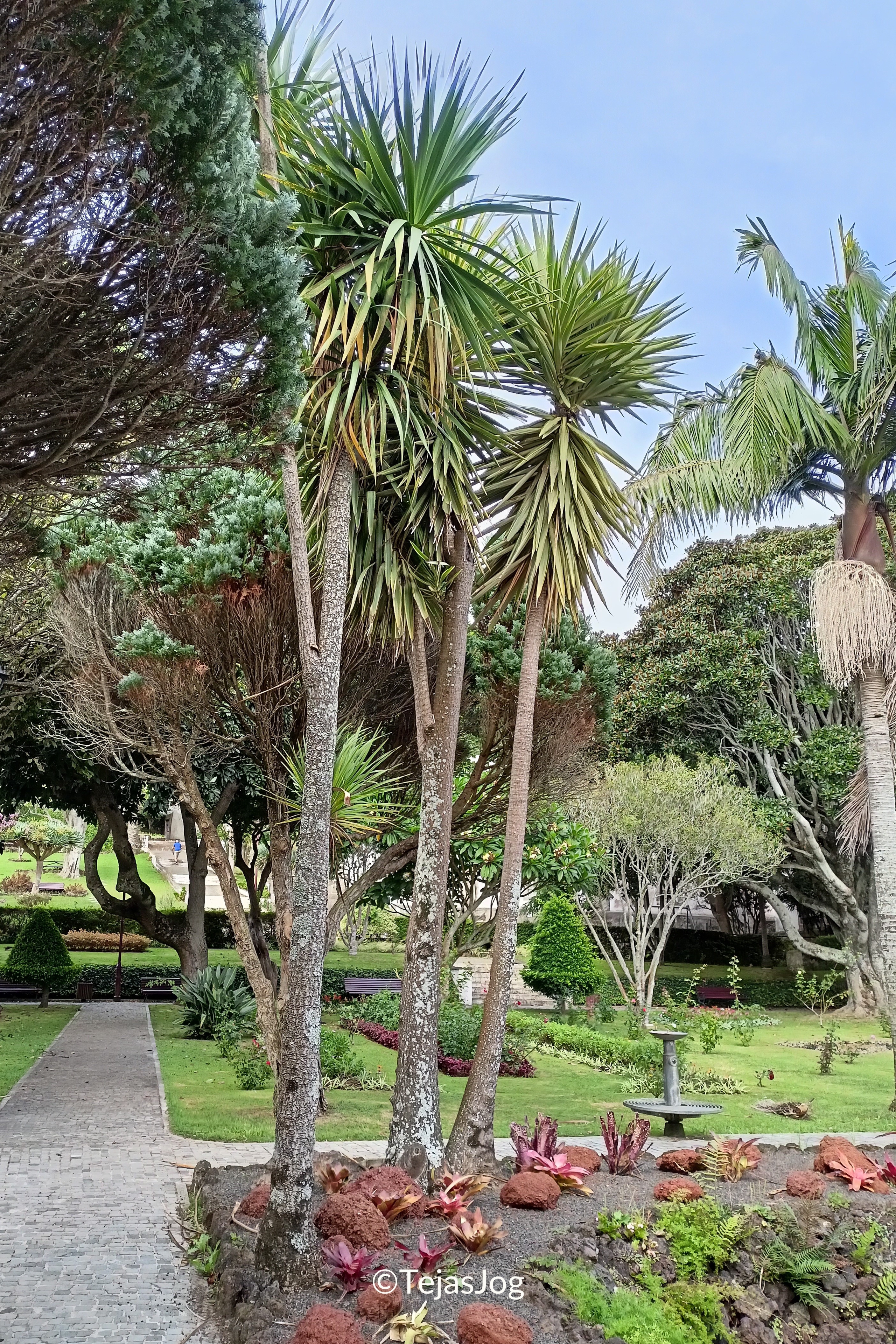 Jardim Duque da Terceira Jardim Duque da Terceira