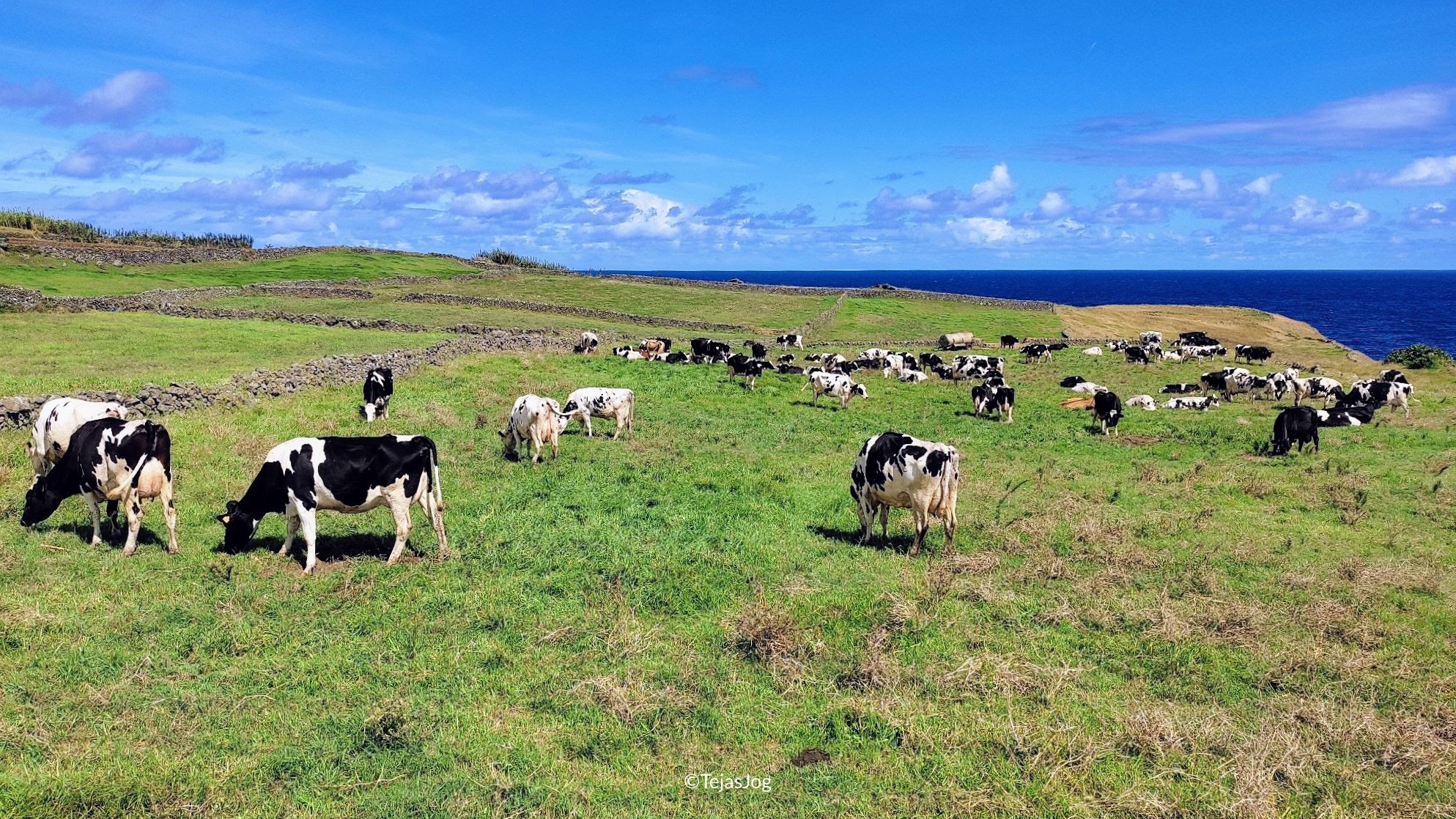 Miradouro da Ponta da Má Merenda Miradouro da Ponta da Má Merenda