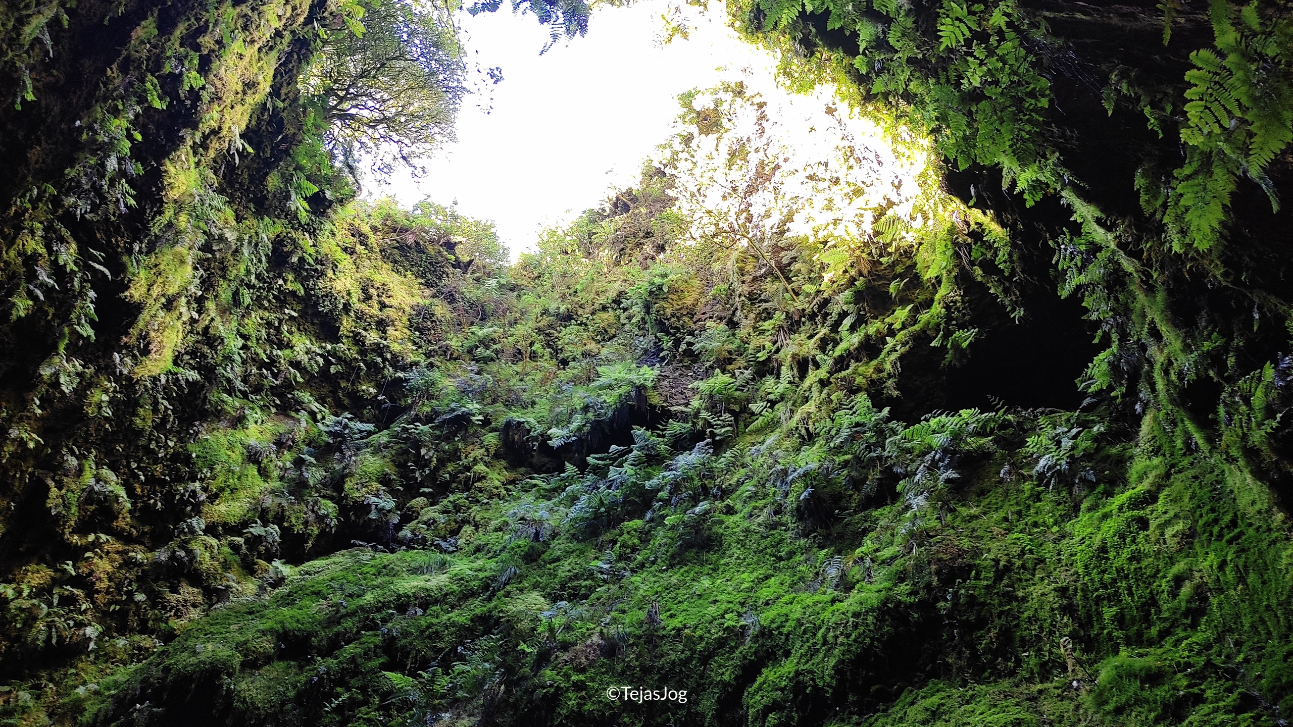 Algar do Carvão Algar do Carvão