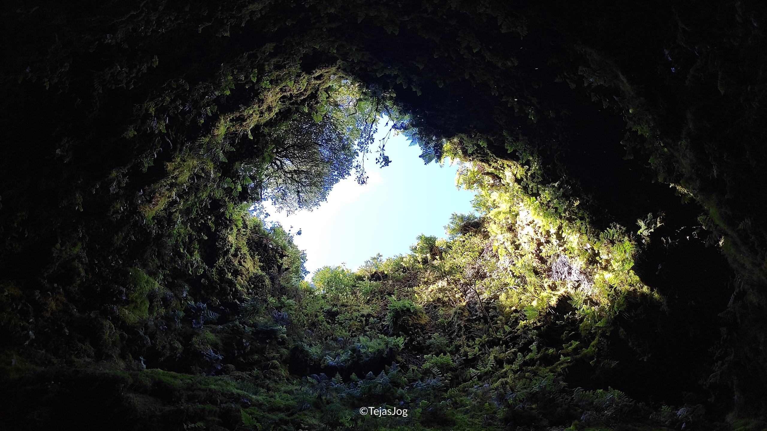 Algar do Carvão Algar do Carvão