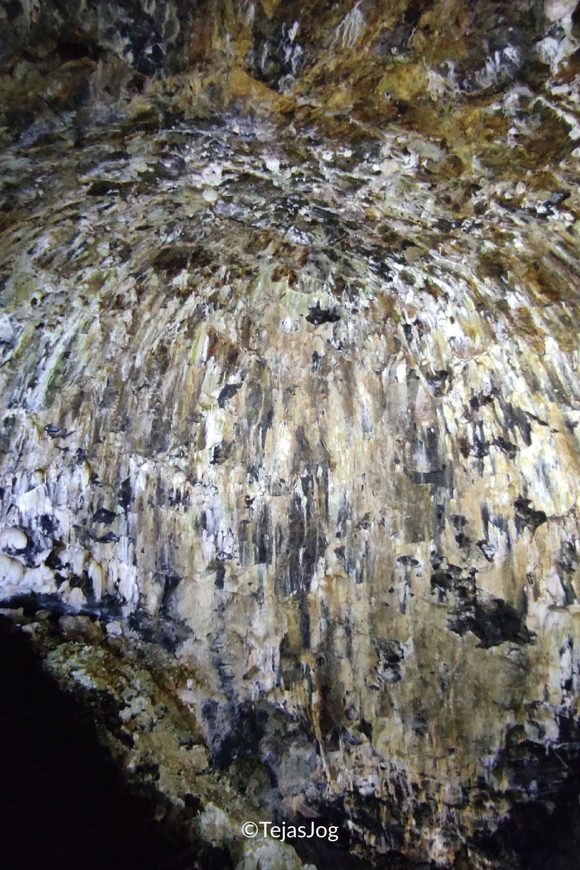 Algar do Carvão Algar do Carvão