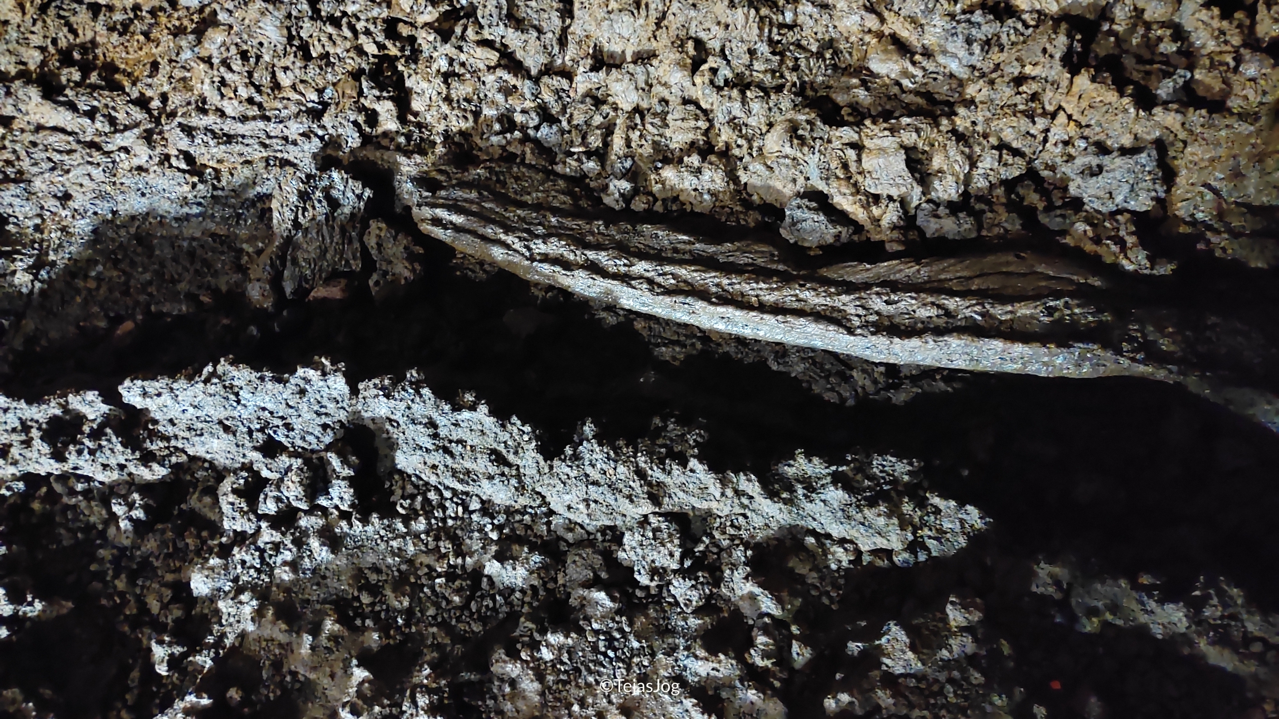 Gruta do Natal Gruta do Natal