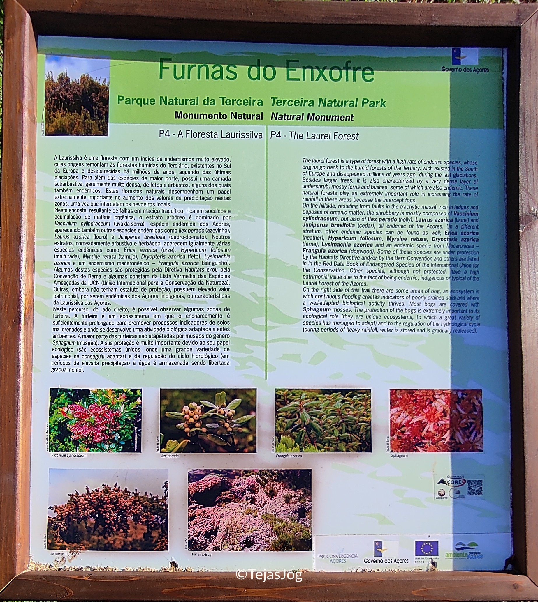 Furnas do Enxofre Furnas do Enxofre