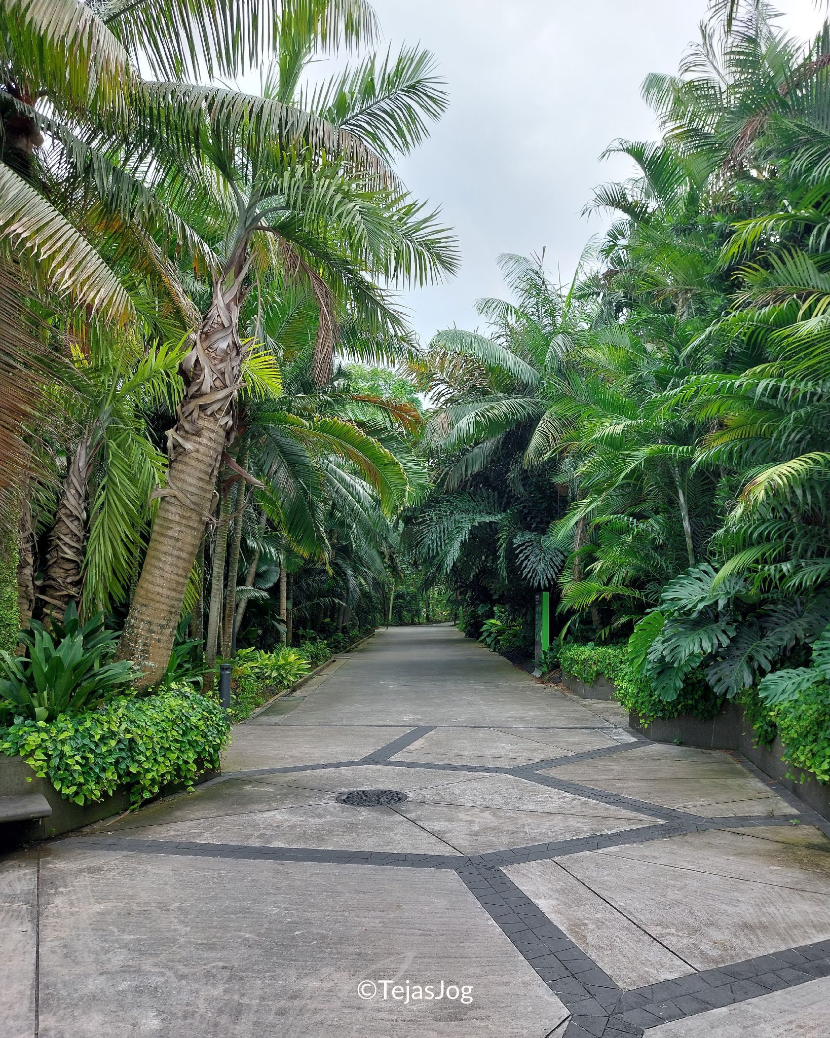 Gardens by the Bay Gardens by the Bay