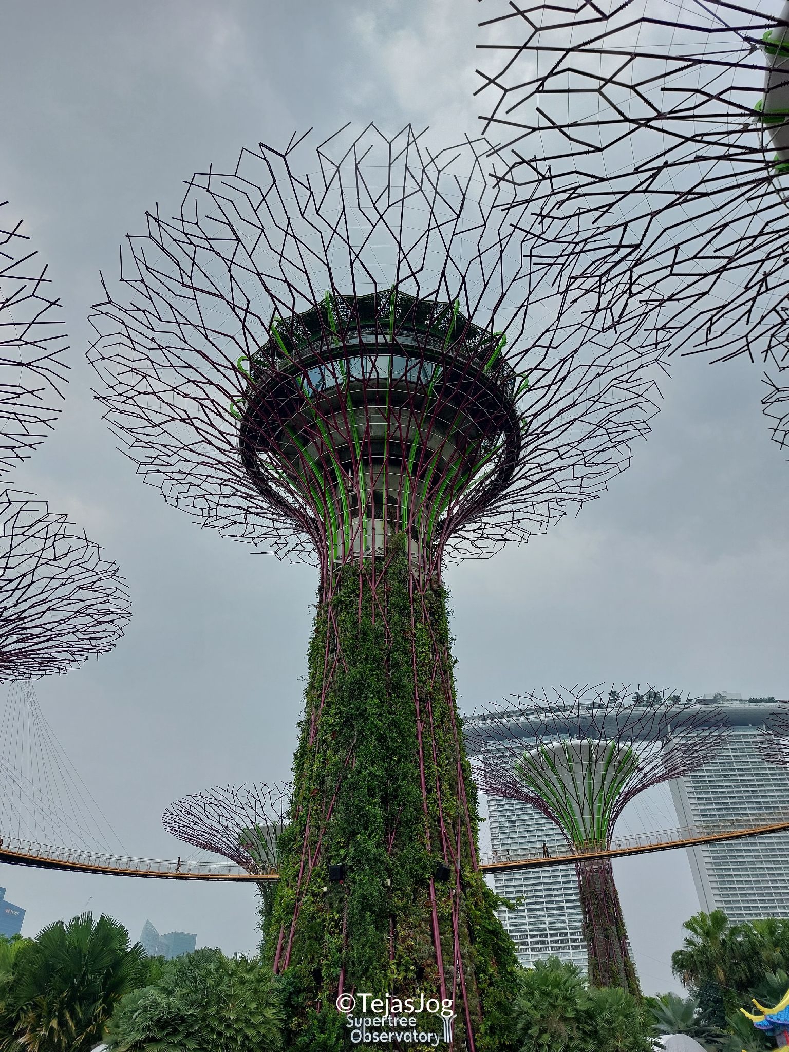 Gardens by the Bay Gardens by the Bay