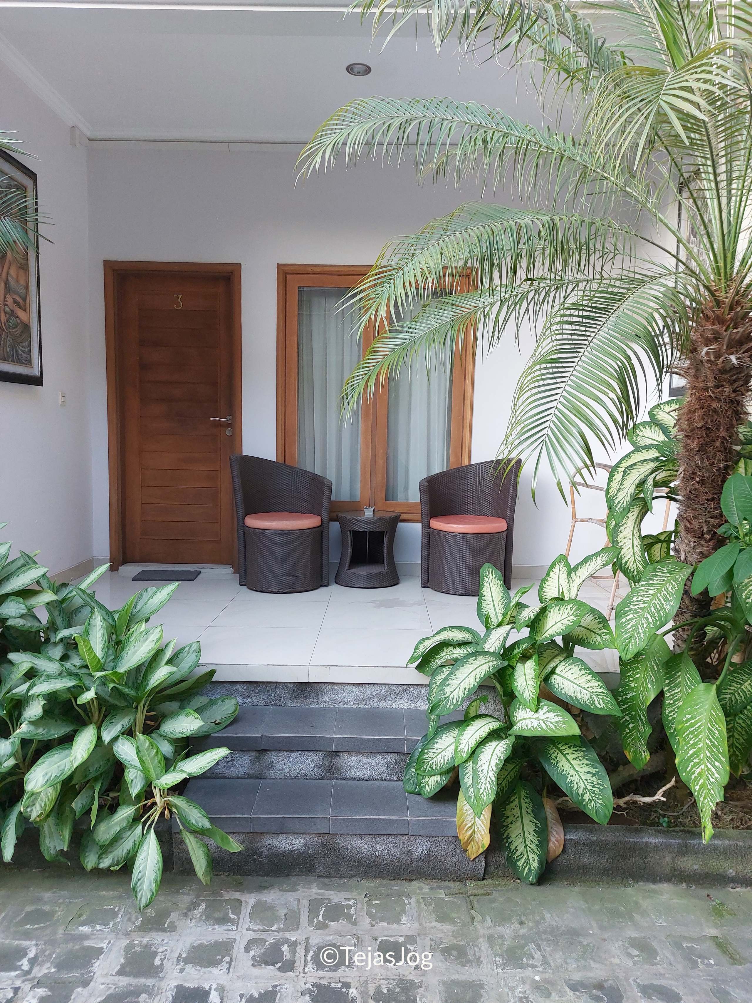 The Kutaya The Kutaya