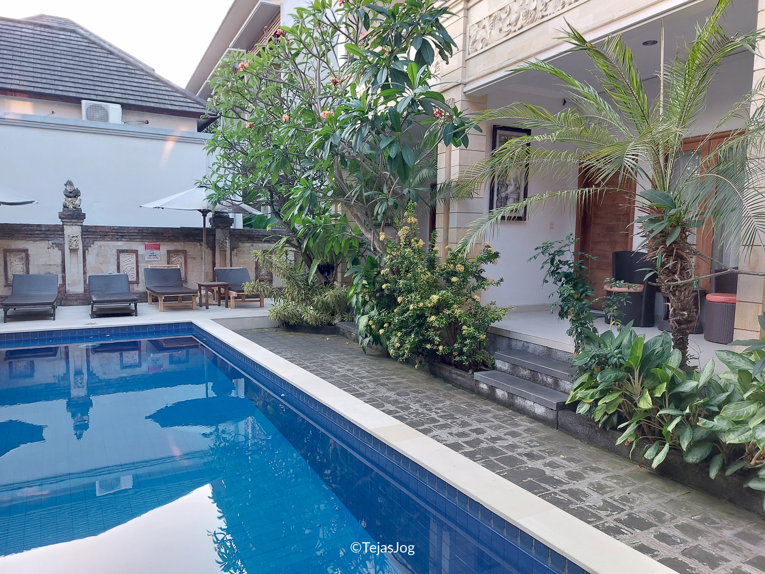 The Kutaya The Kutaya