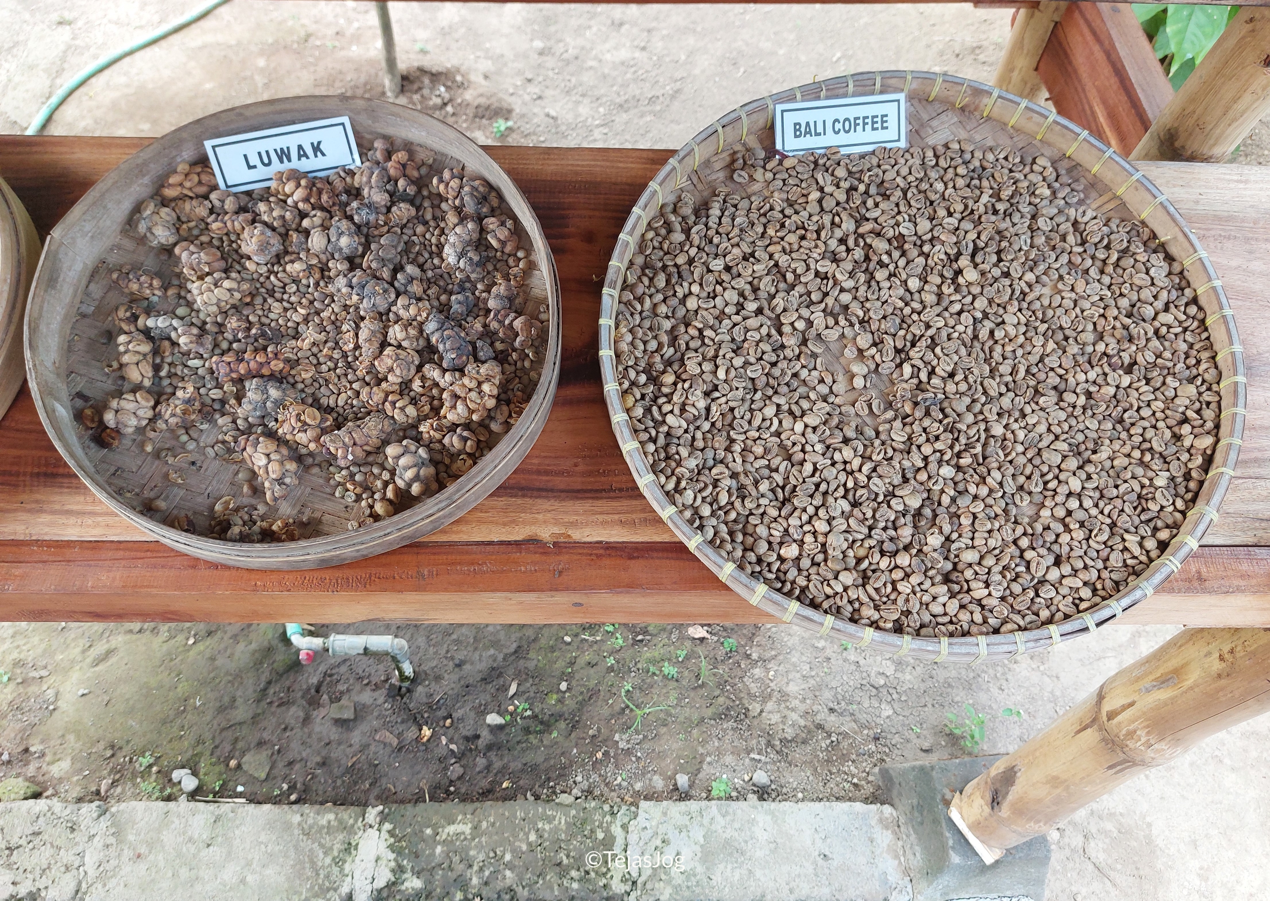 Tunas Bali Luwak Coffee