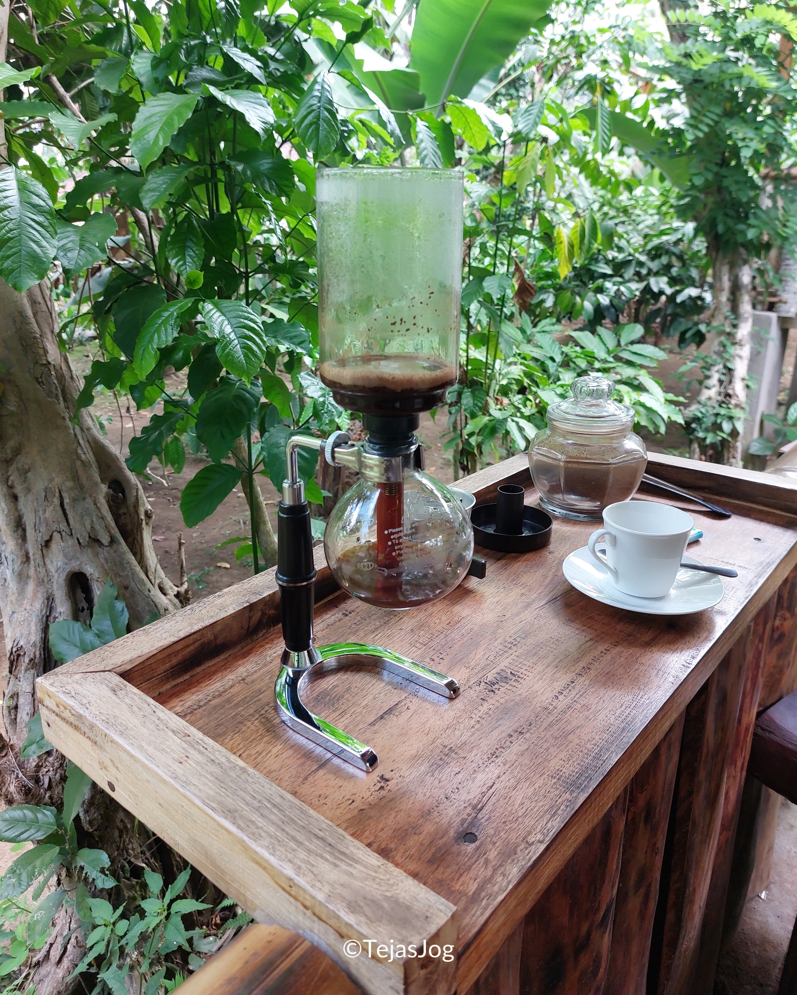 Tunas Bali Luwak Coffee