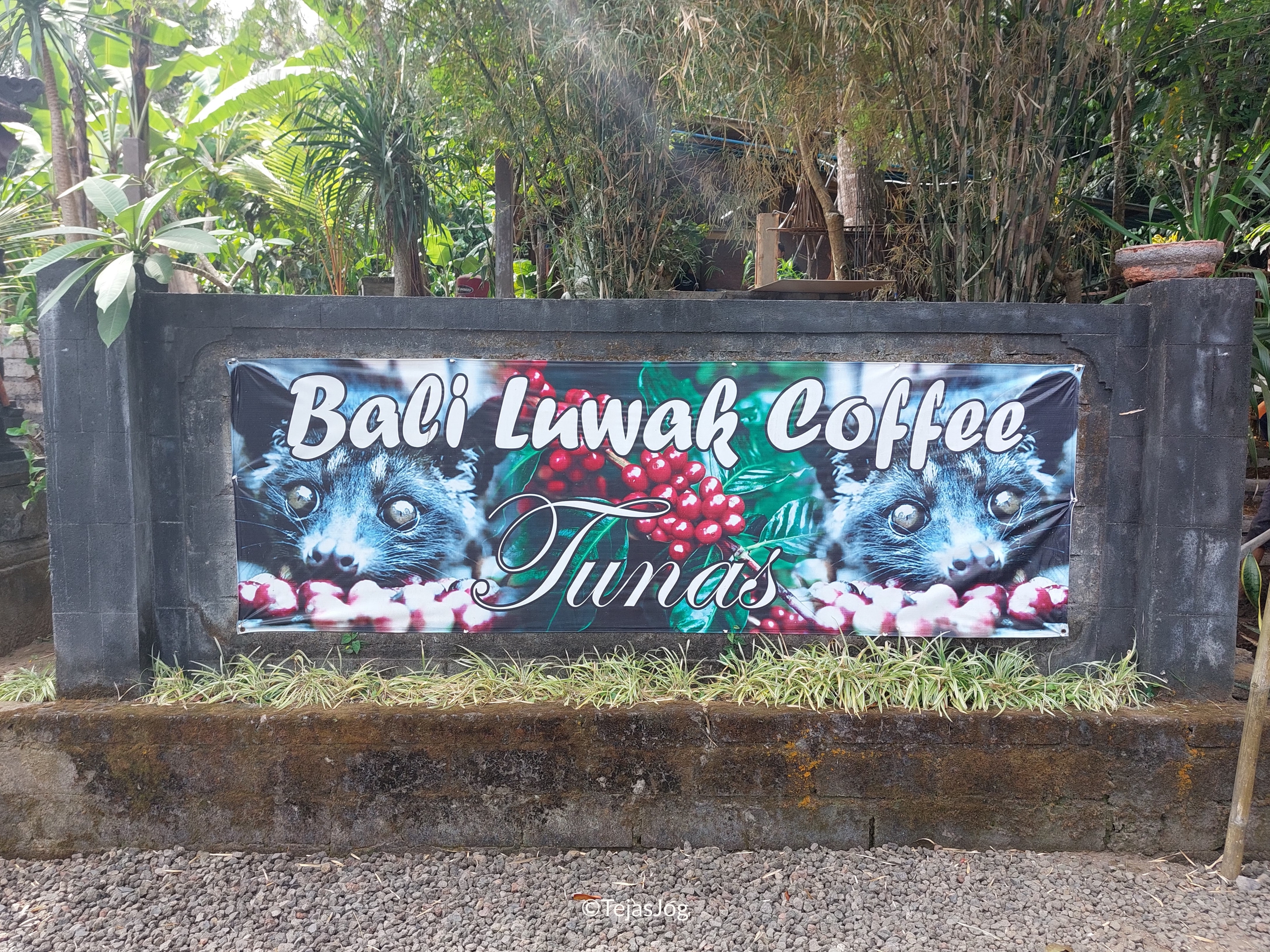Tunas Bali Luwak Coffee