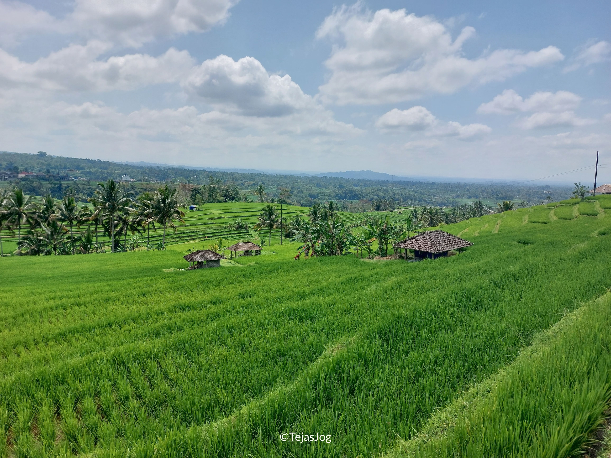 Jatiluwih Rice Terraces Jatiluwih Rice Terraces