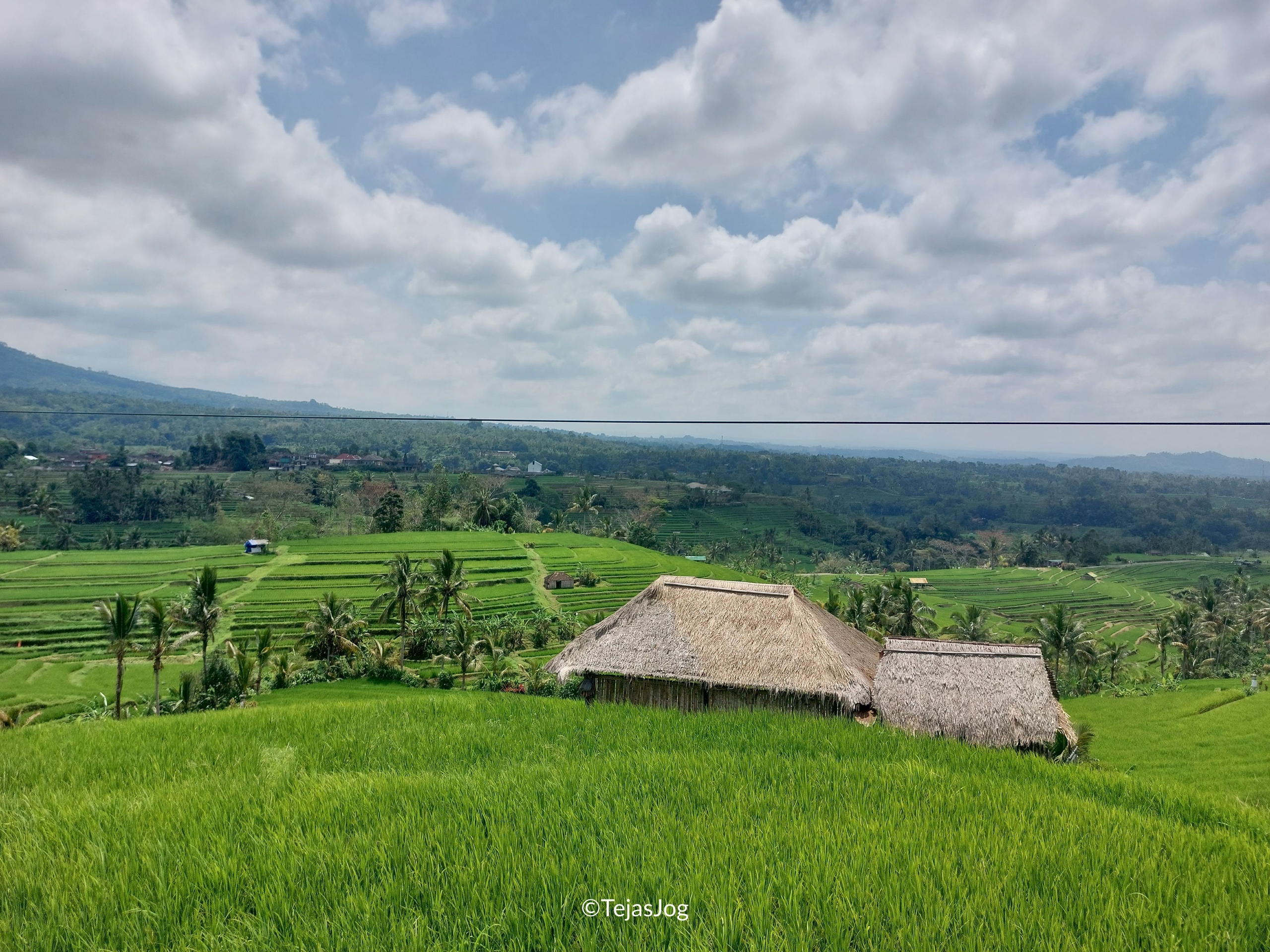 Jatiluwih Rice Terraces Jatiluwih Rice Terraces