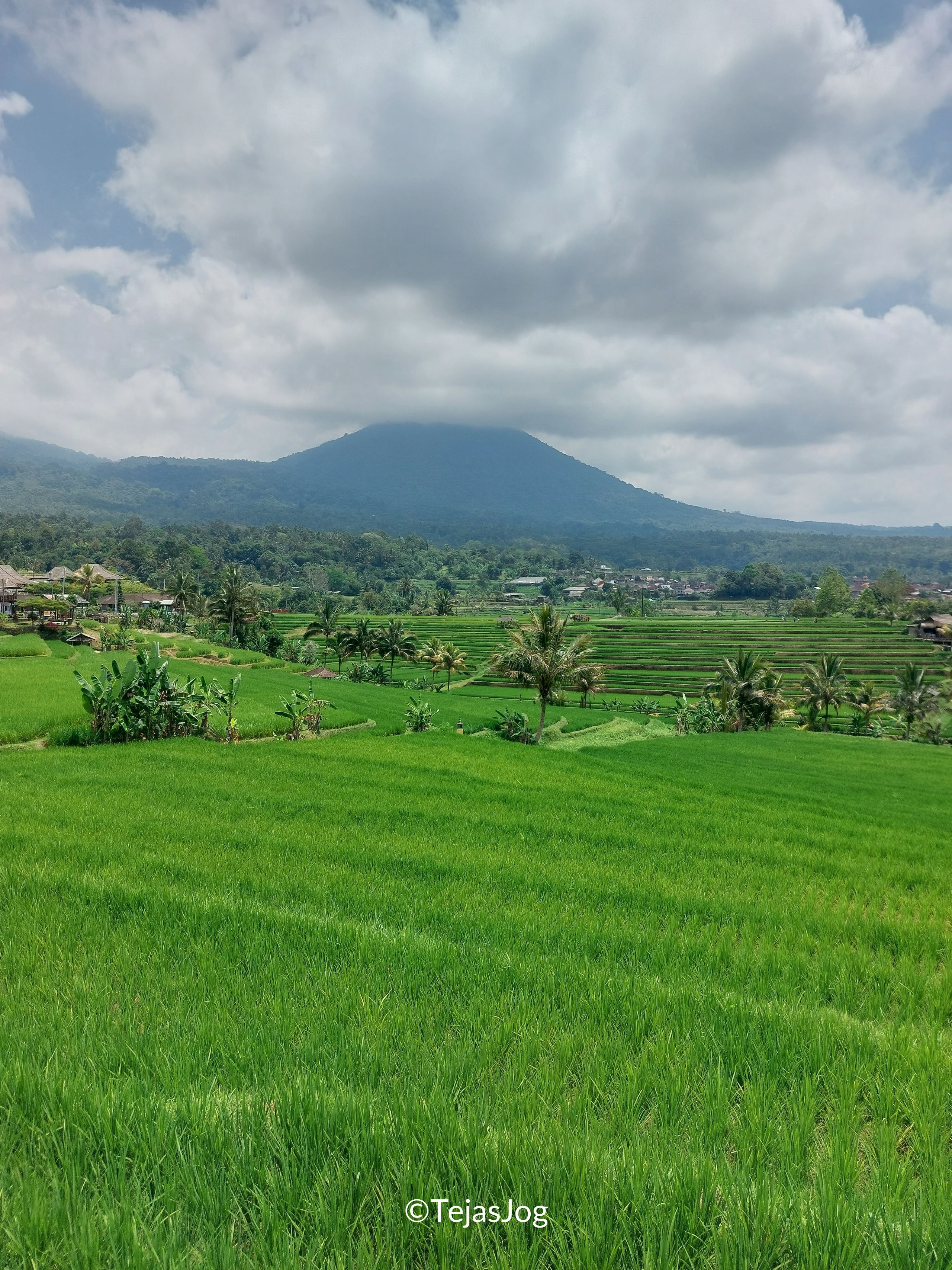 Jatiluwih Rice Terraces Jatiluwih Rice Terraces