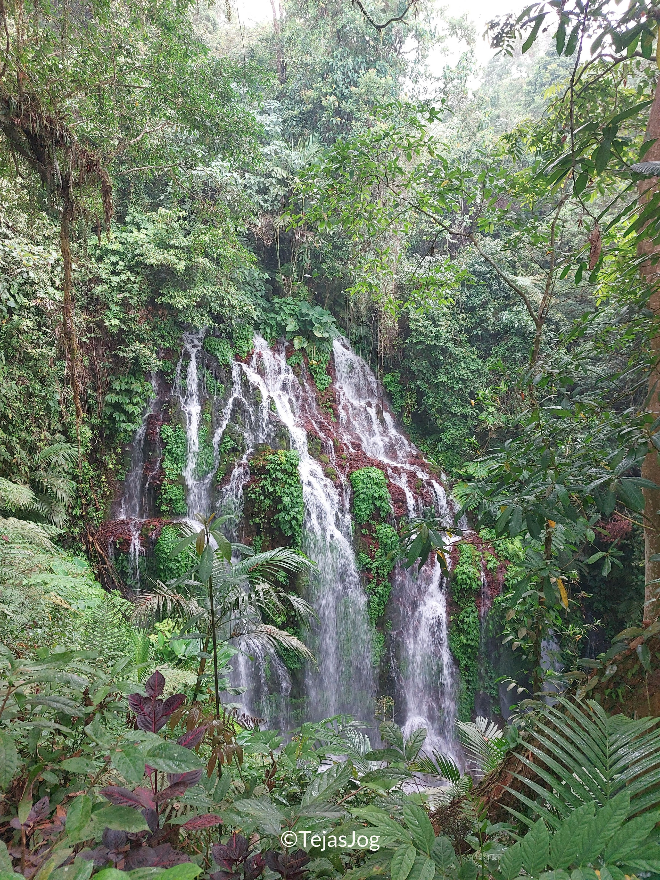 Banyumala Waterfall Banyumala Waterfall