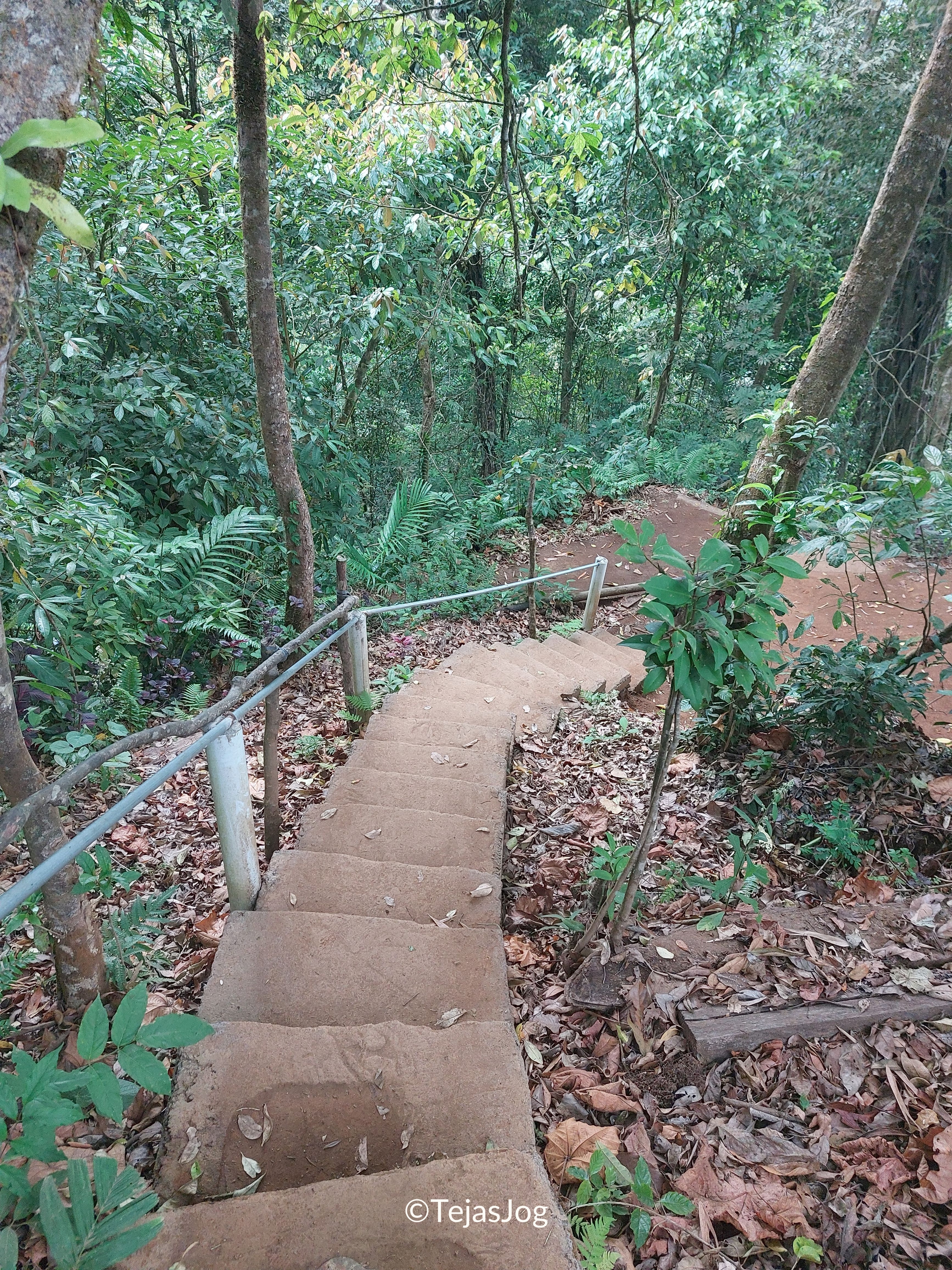 Banyumala Waterfall Banyumala Waterfall
