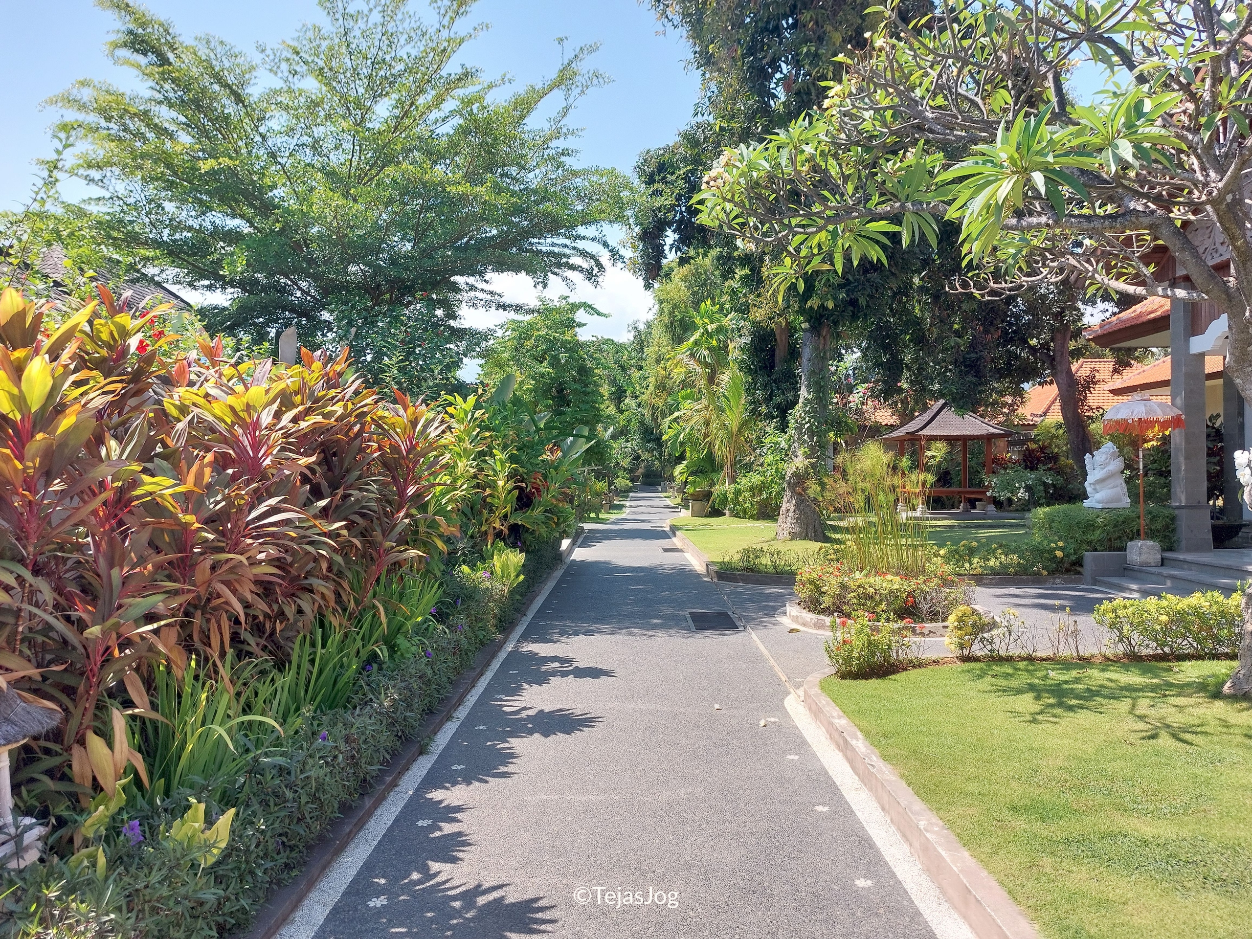 New Sunari Lovina Beach Resort New Sunari Lovina Beach Resort