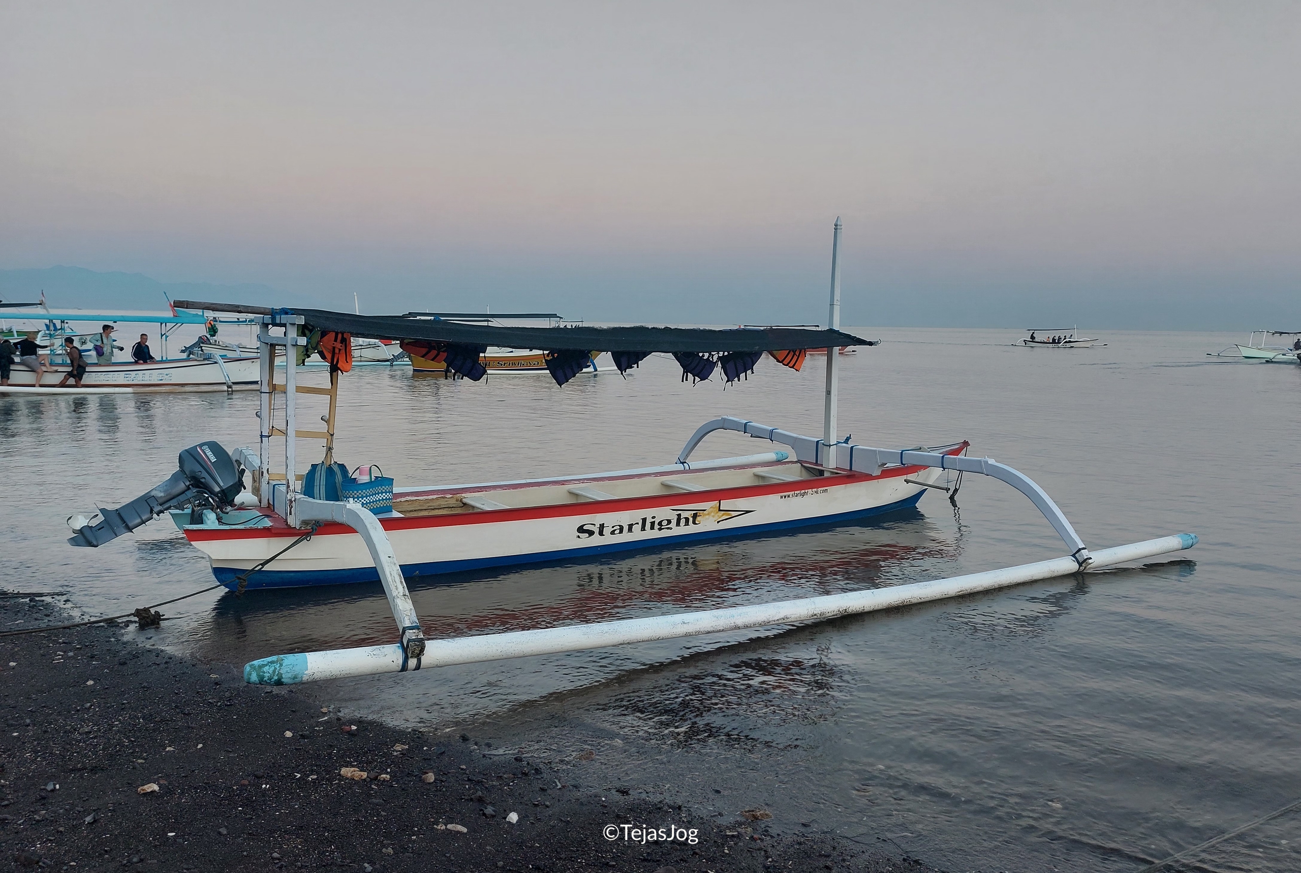 Boat for swimming with dolphins
