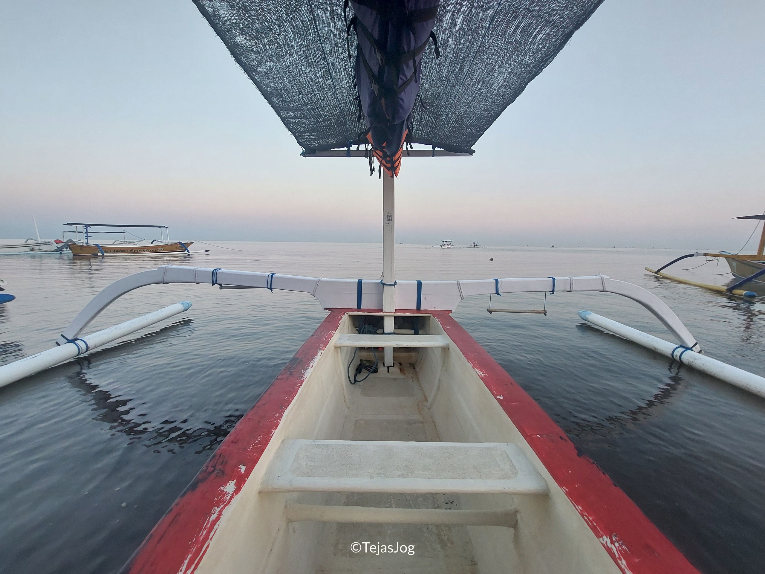 Boat for swimming with dolphins
