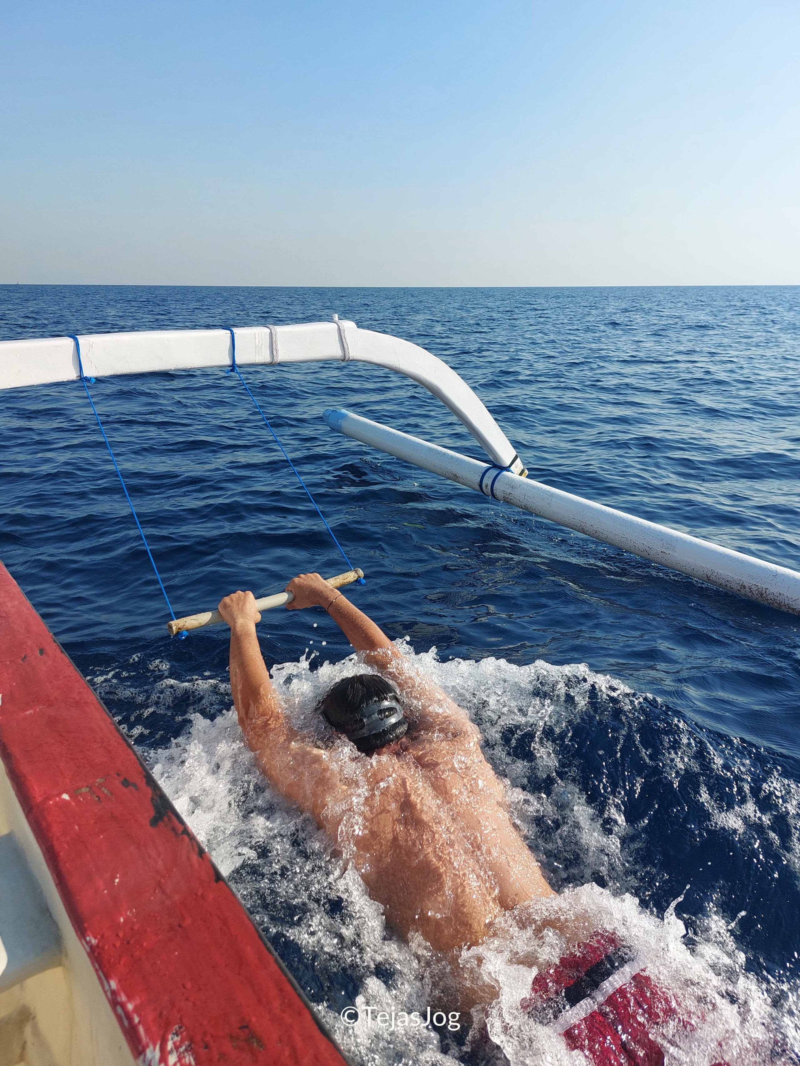 'Swimming' with dolphins