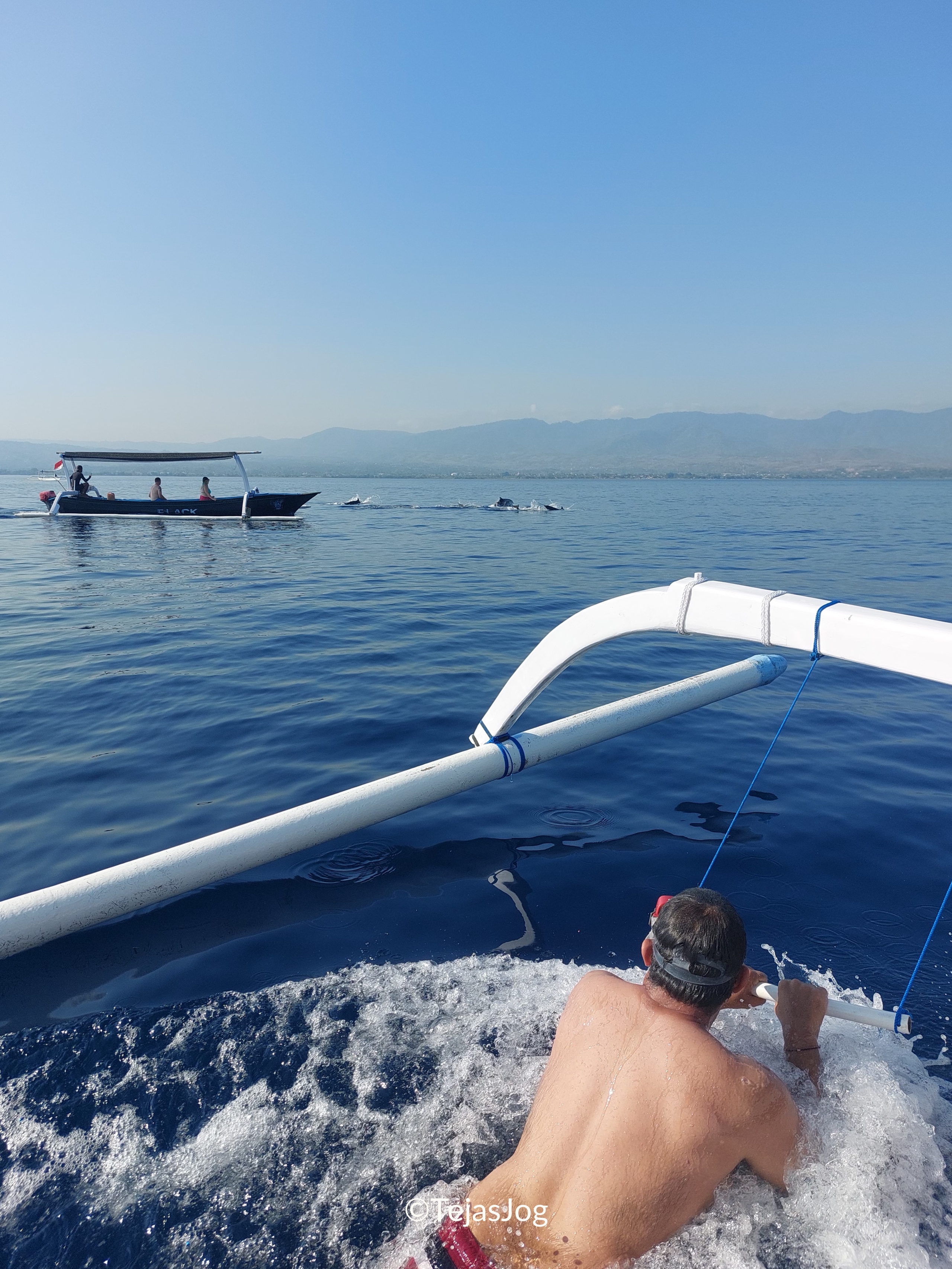 'Swimming' with dolphins