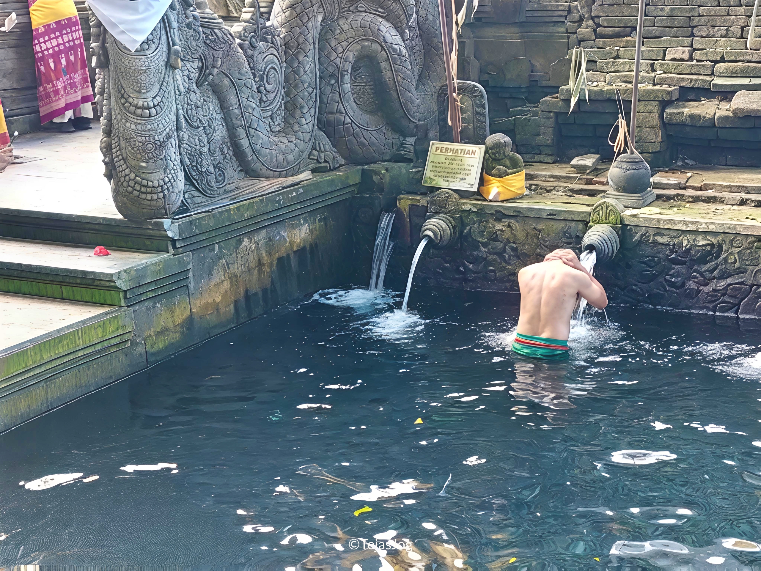 Holy Spring Water Purification Ritual at Pura Tirta Empul