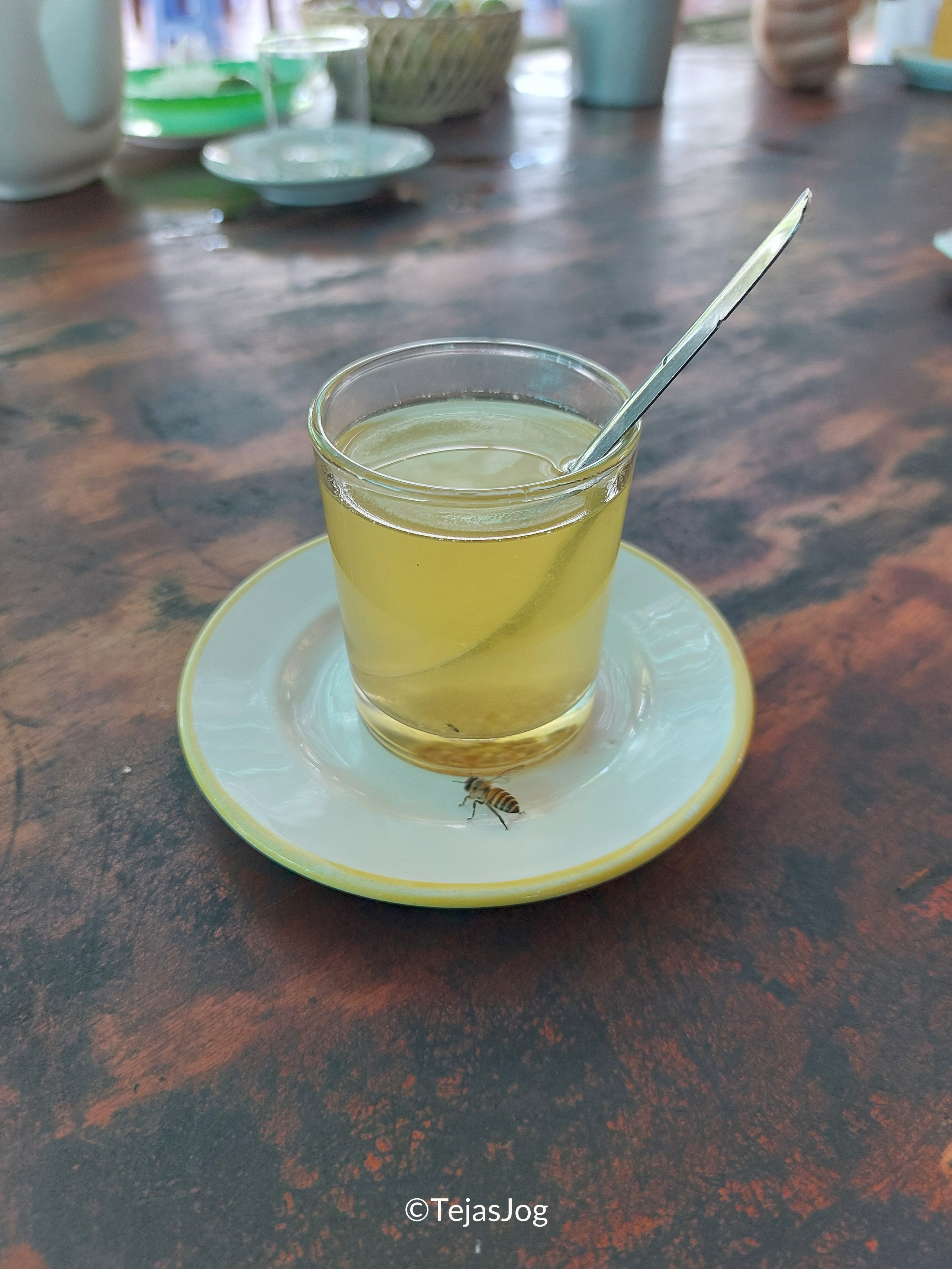 Mekong Delta Bee Honey Farm