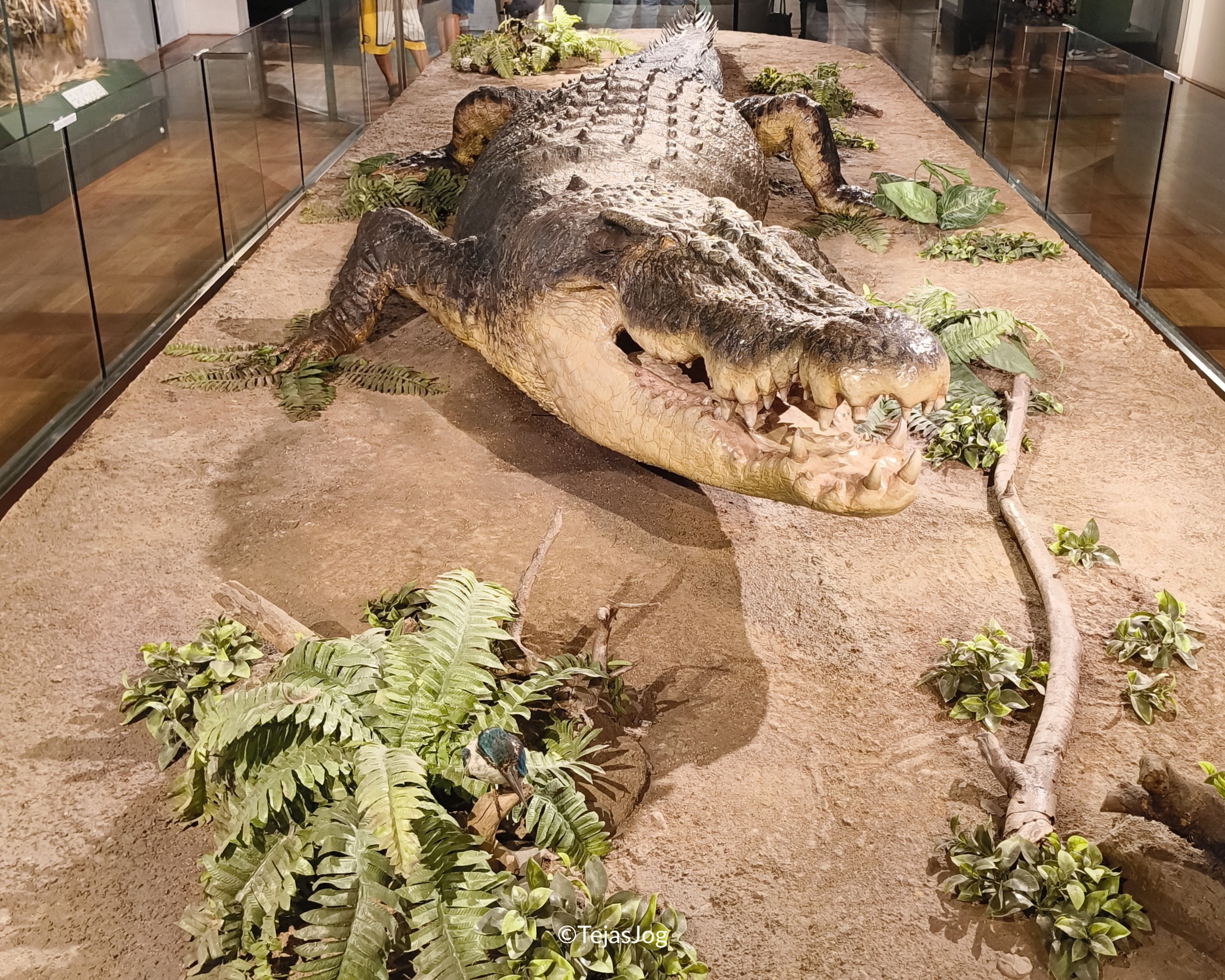 National Museum of Natural History