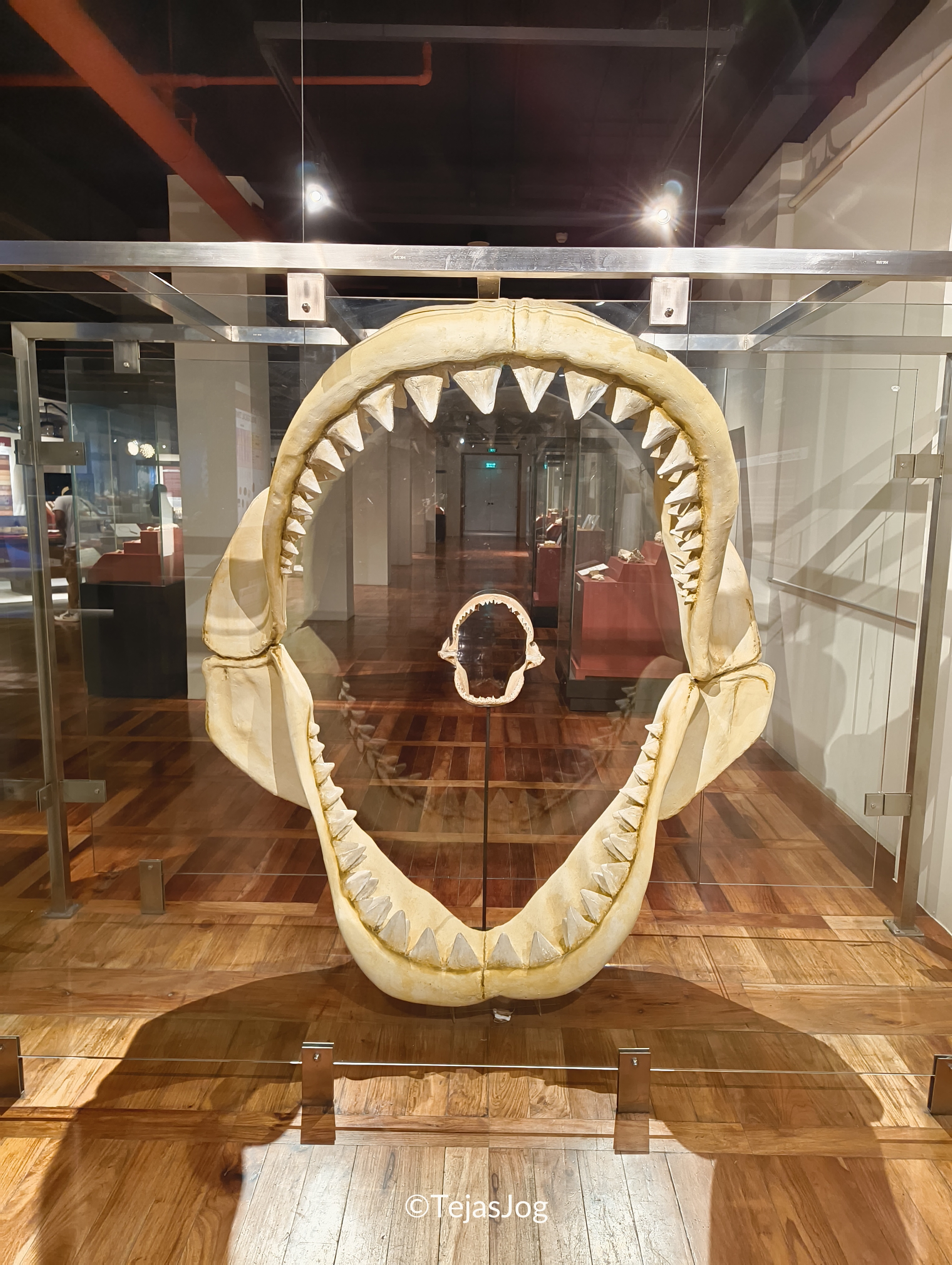 National Museum of Natural History