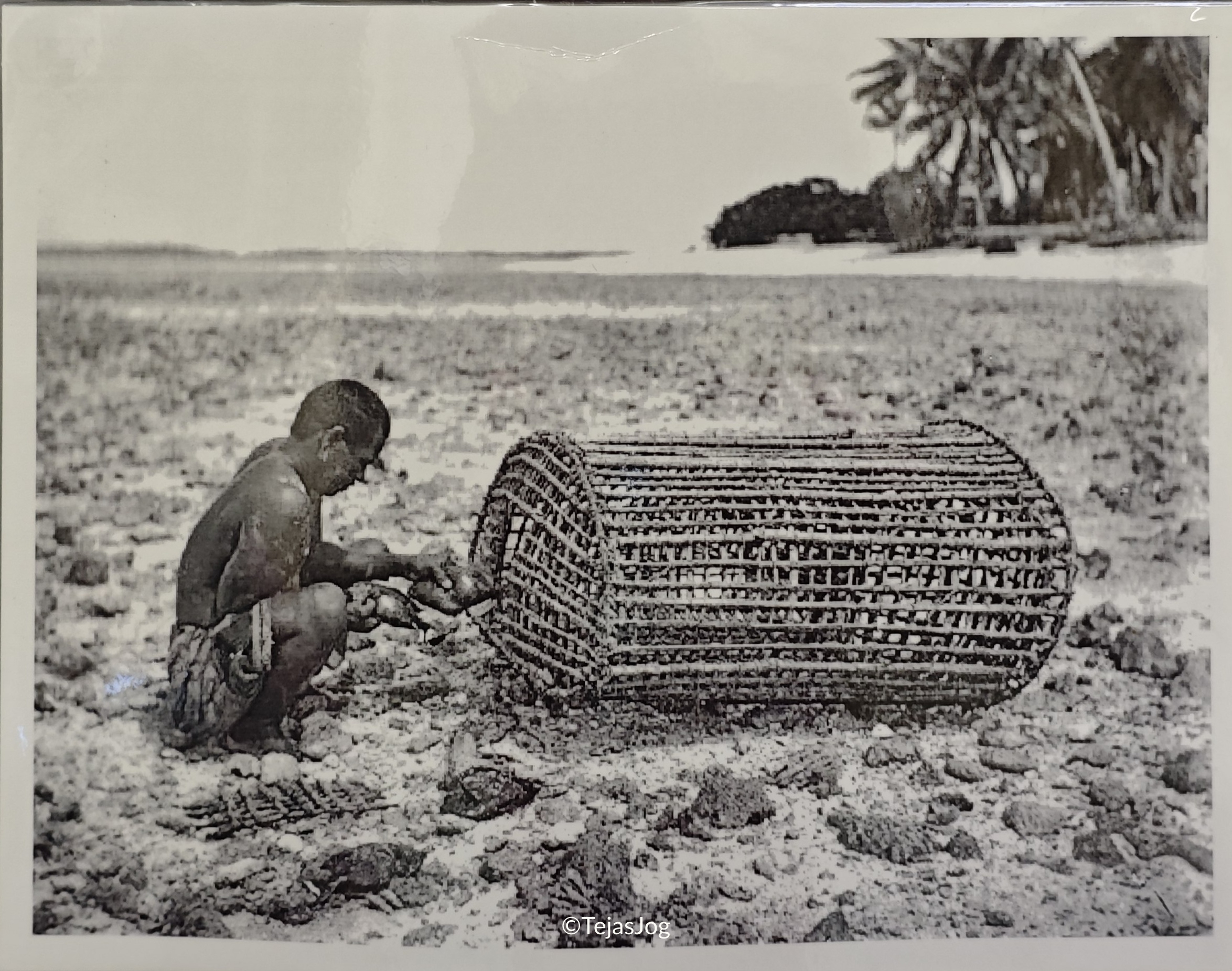 Wu / Submerged wooden fish traps Wu / Submerged wooden fish traps