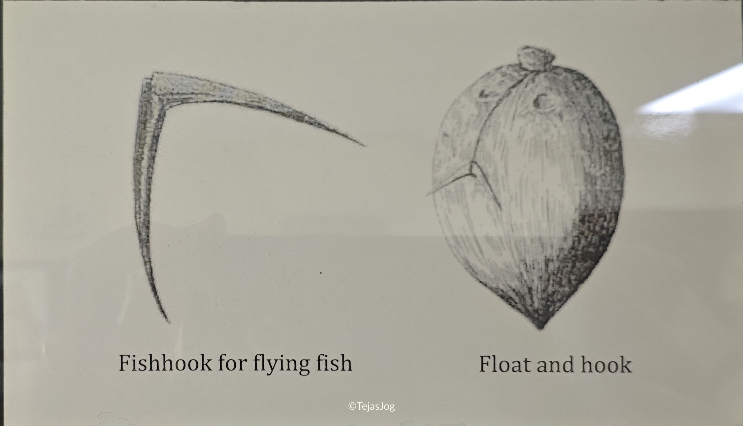 Marshallese Fishing Techniques Marshallese Fishing Techniques