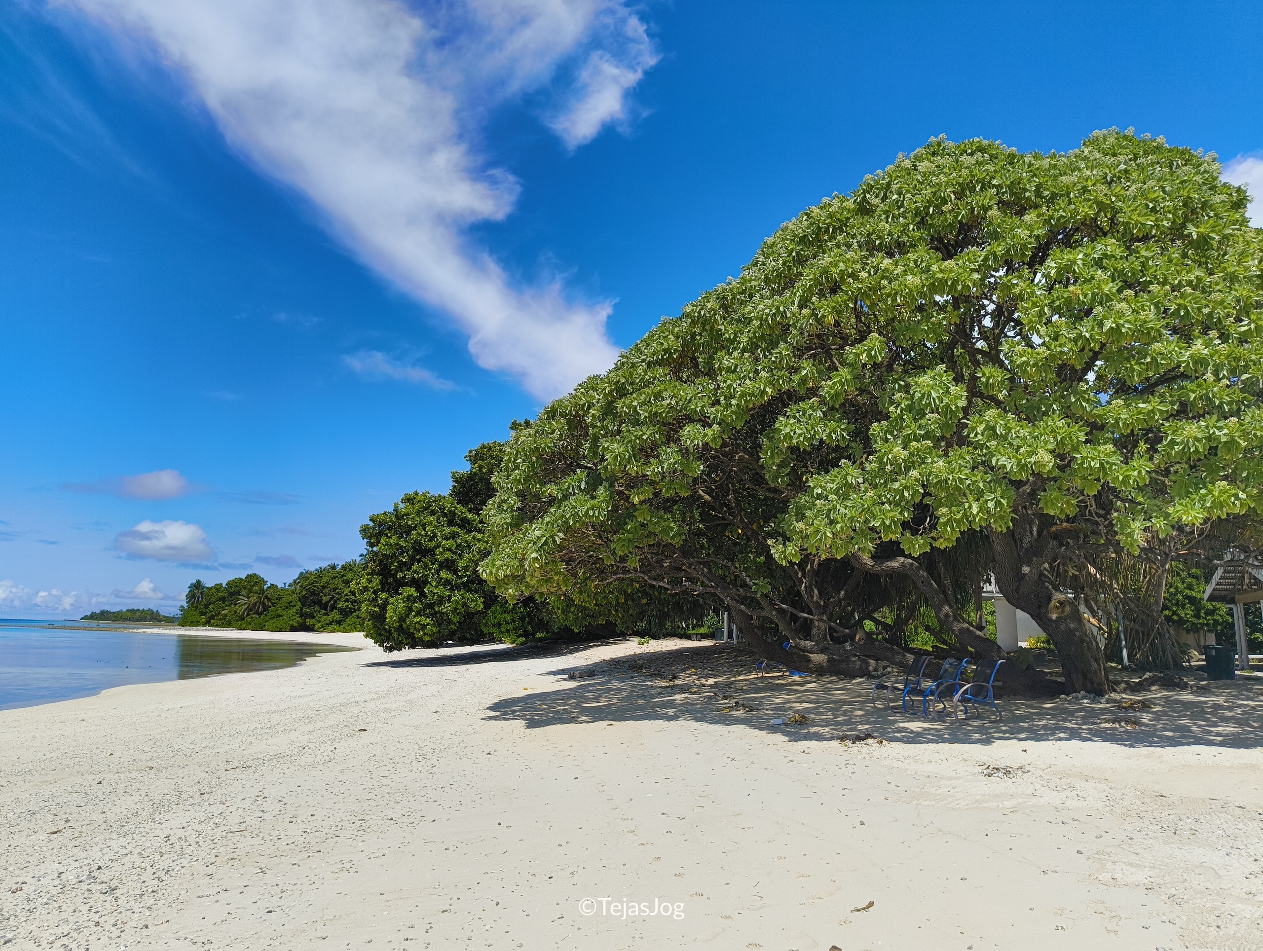 Relaxing chairs on the beach
