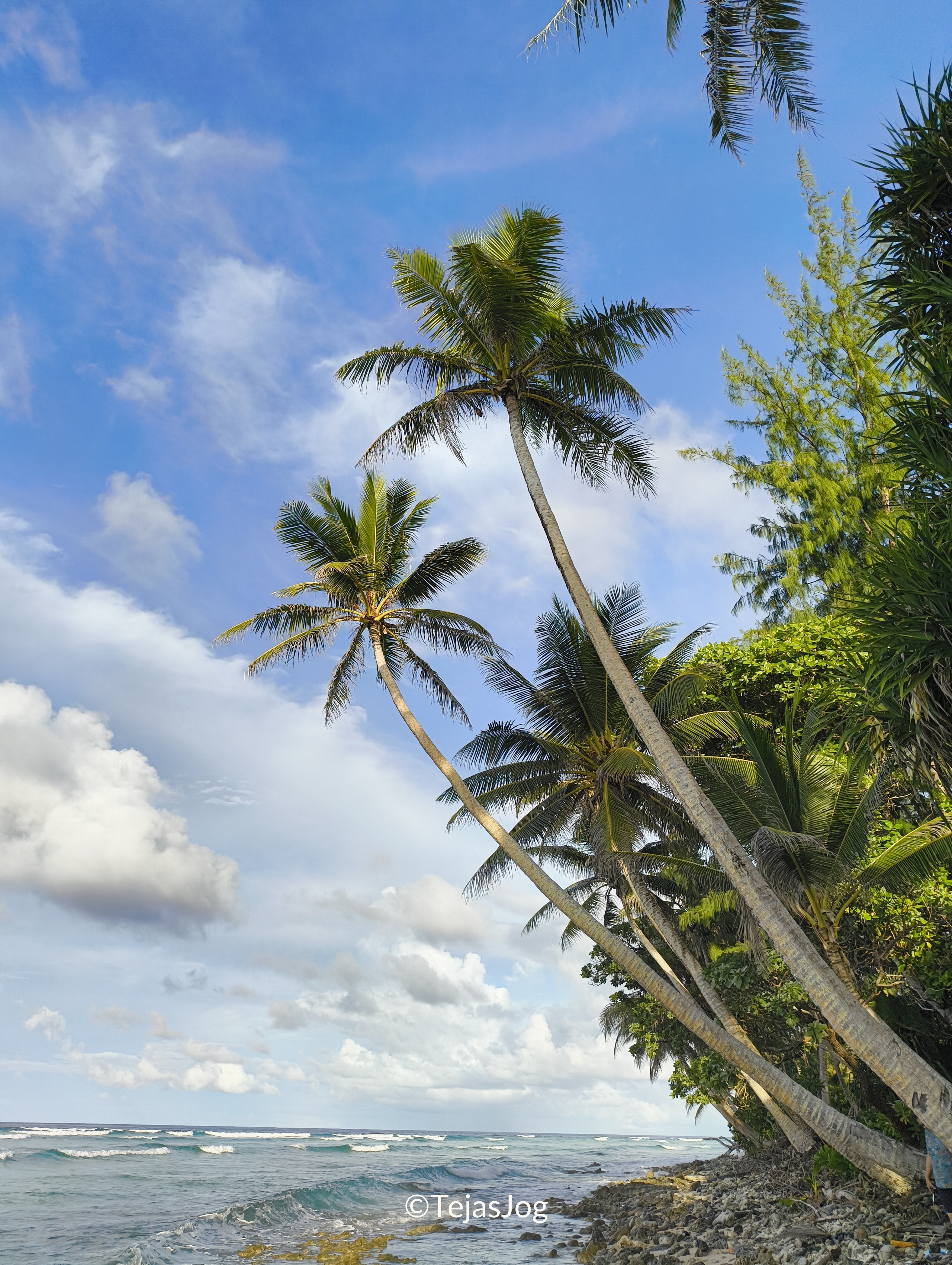 Northern beach facing the Pacific Ocean