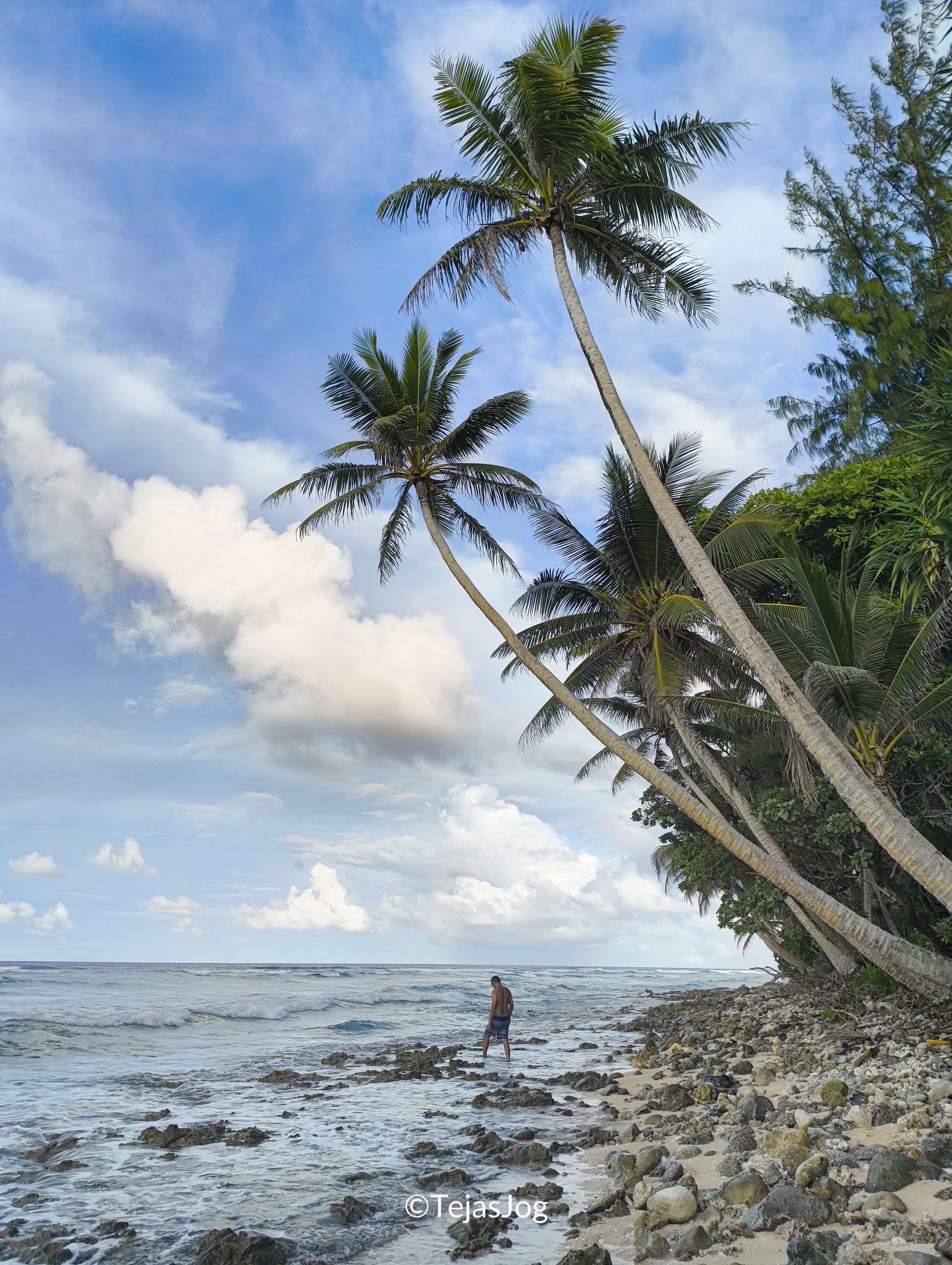 Northern beach facing the Pacific Ocean