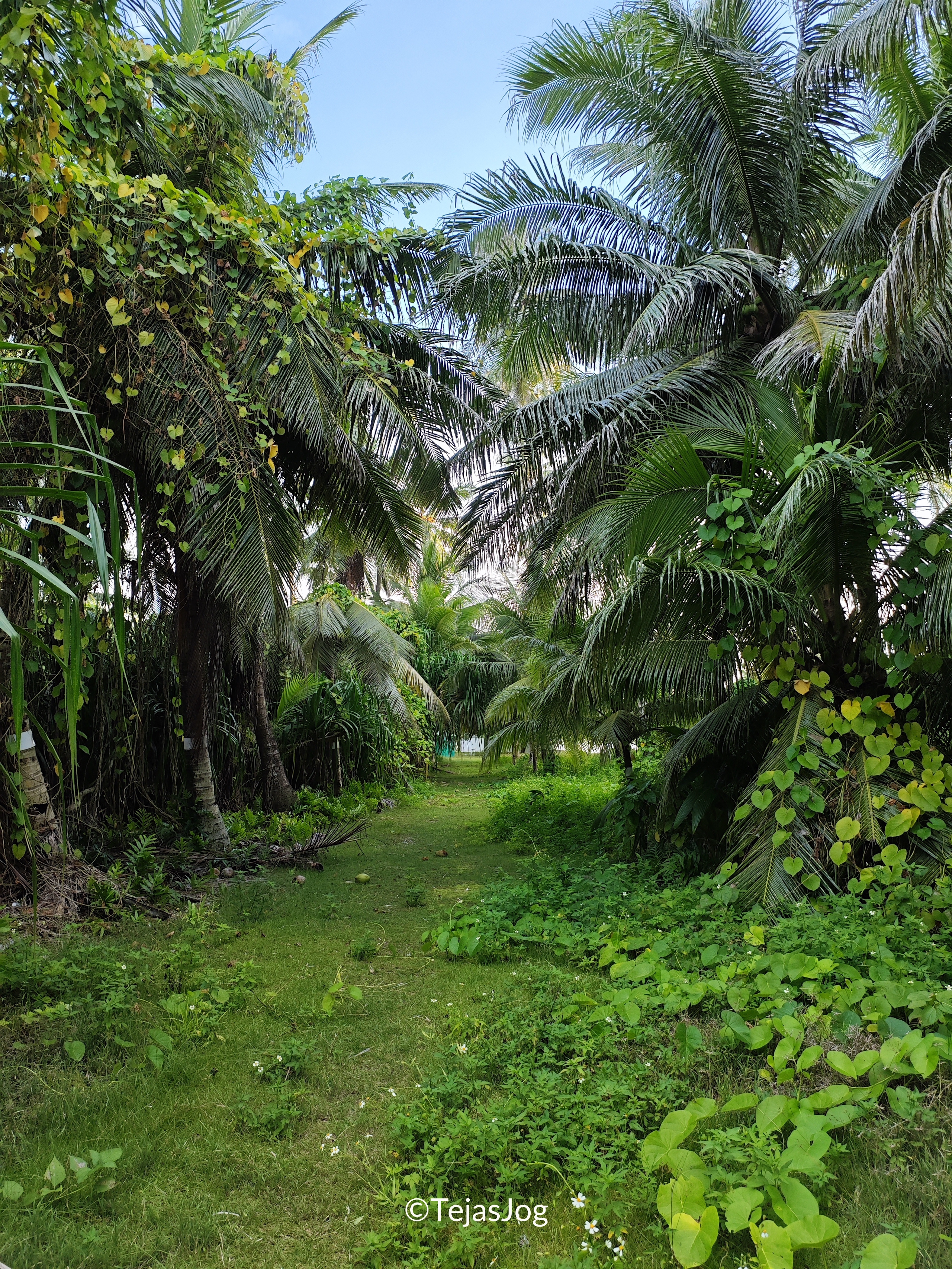 Walking across the island
