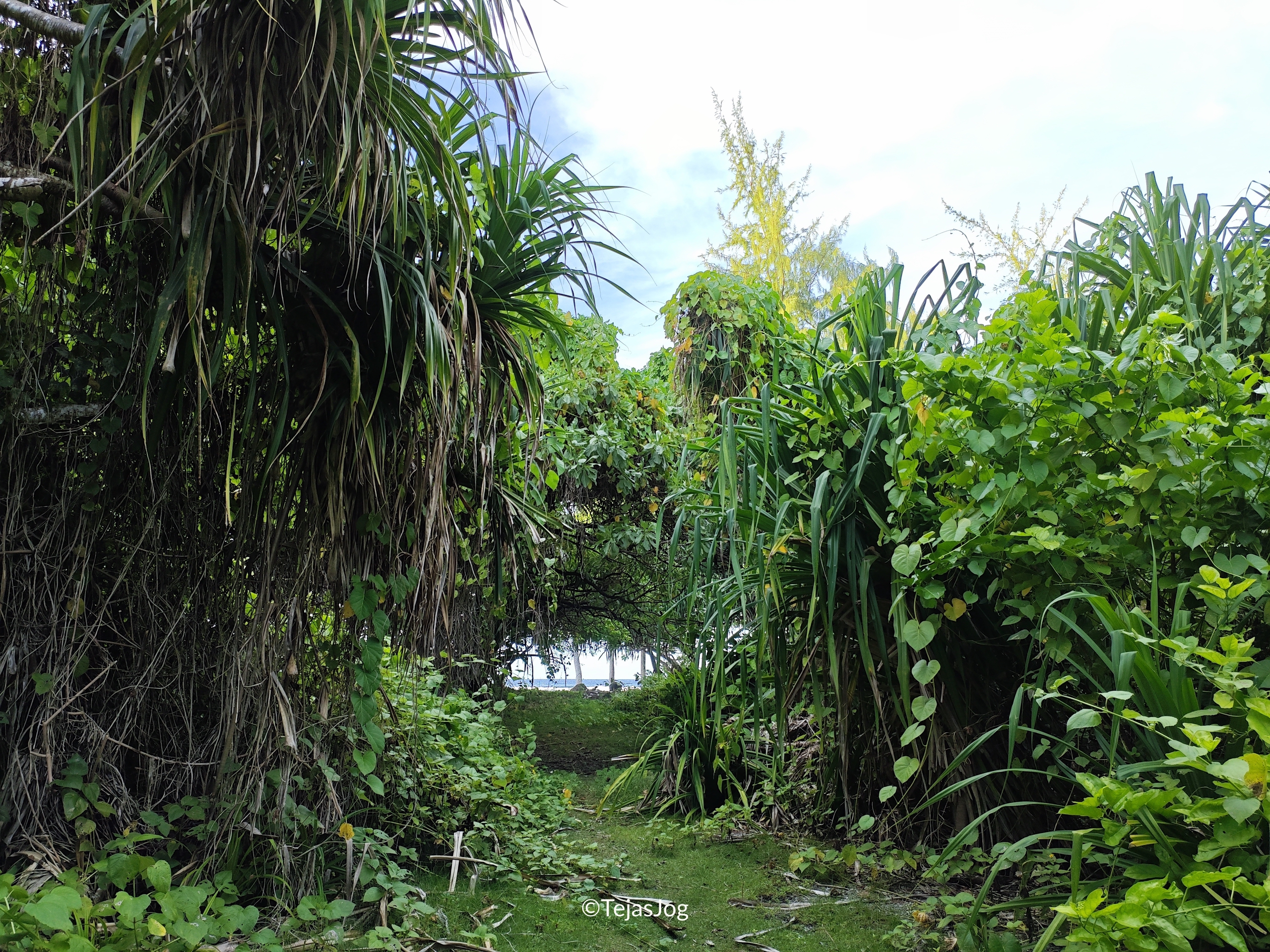 Walking across the island