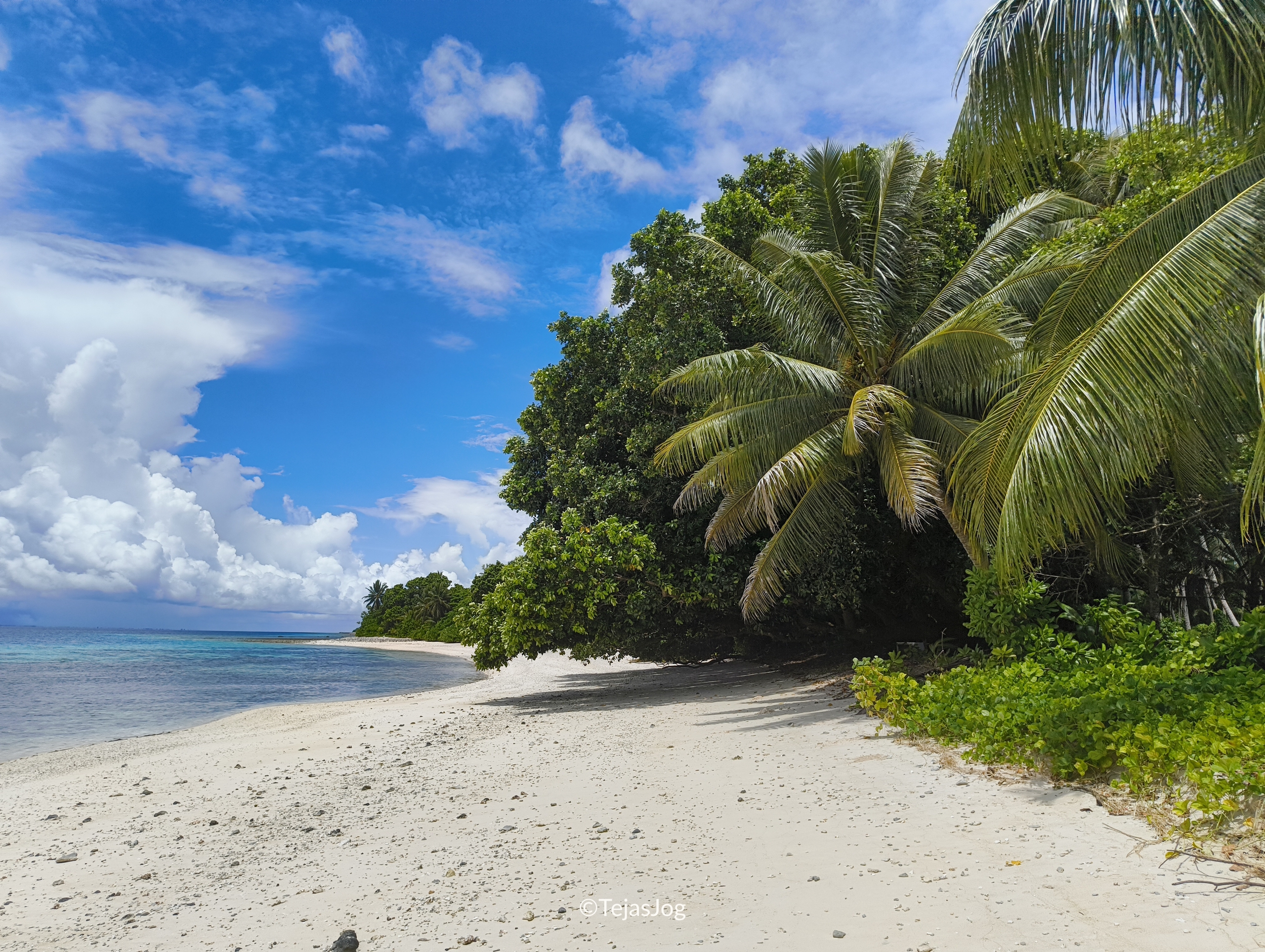Walk to the western tip of Eneko island