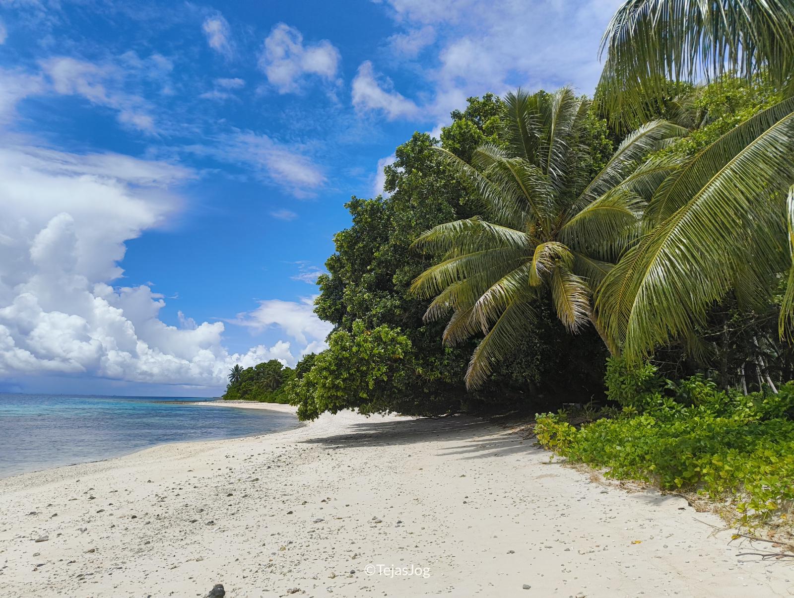 Walk to the western tip of Eneko island Walk to the western tip of Eneko island