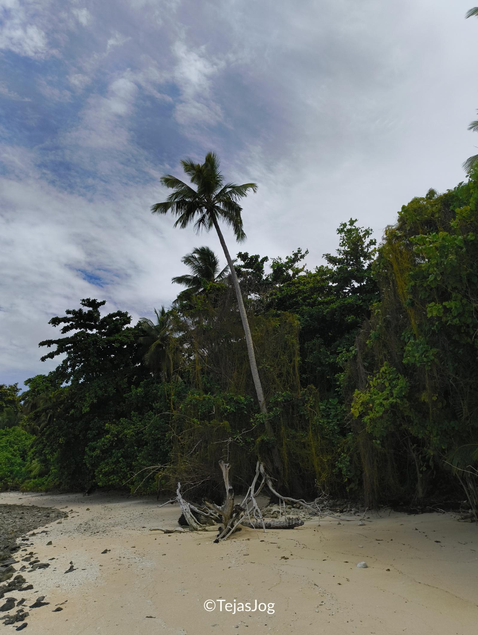 Northern coast of Eneko island Northern coast of Eneko island