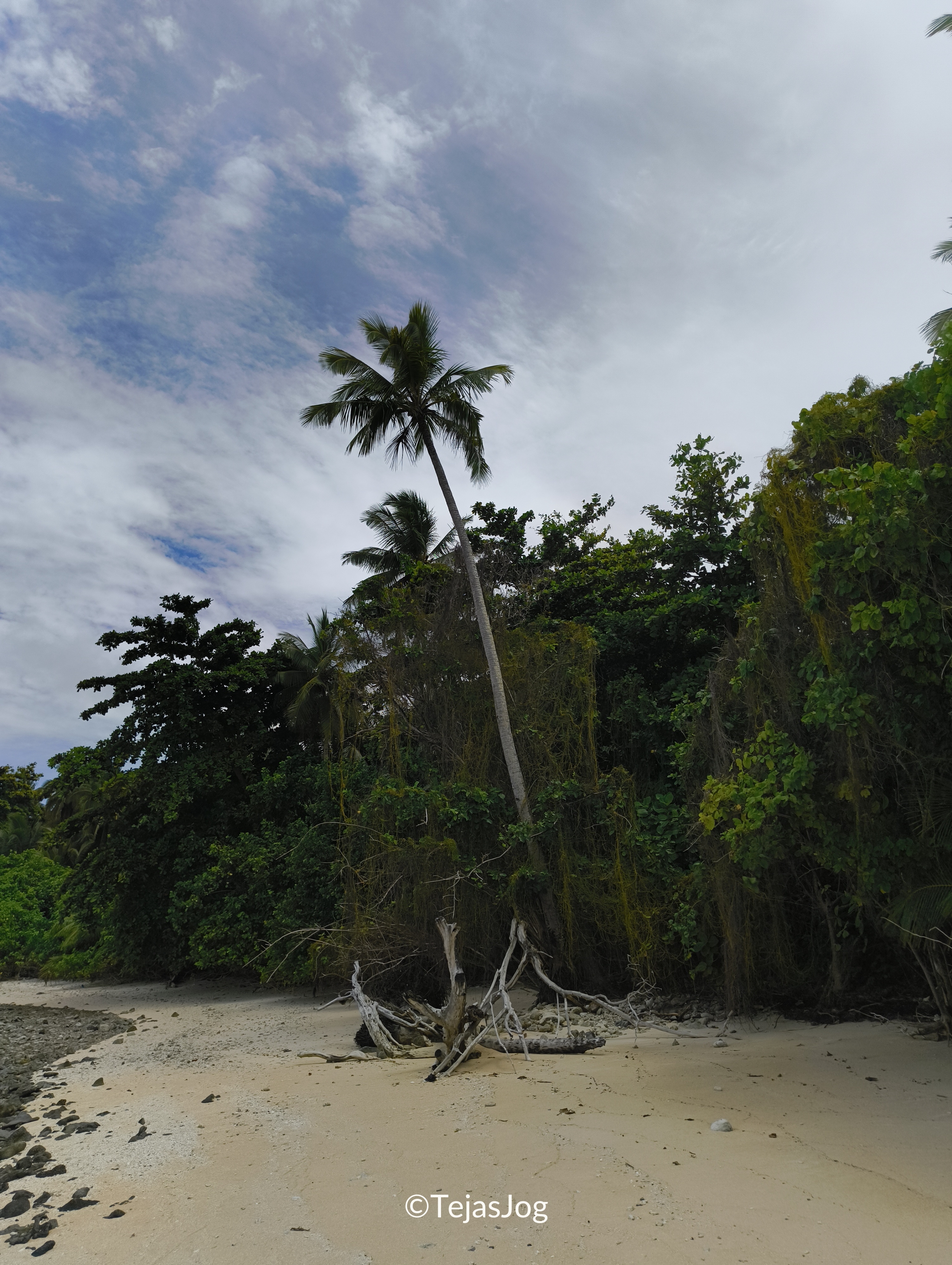 Northern coast of Eneko island