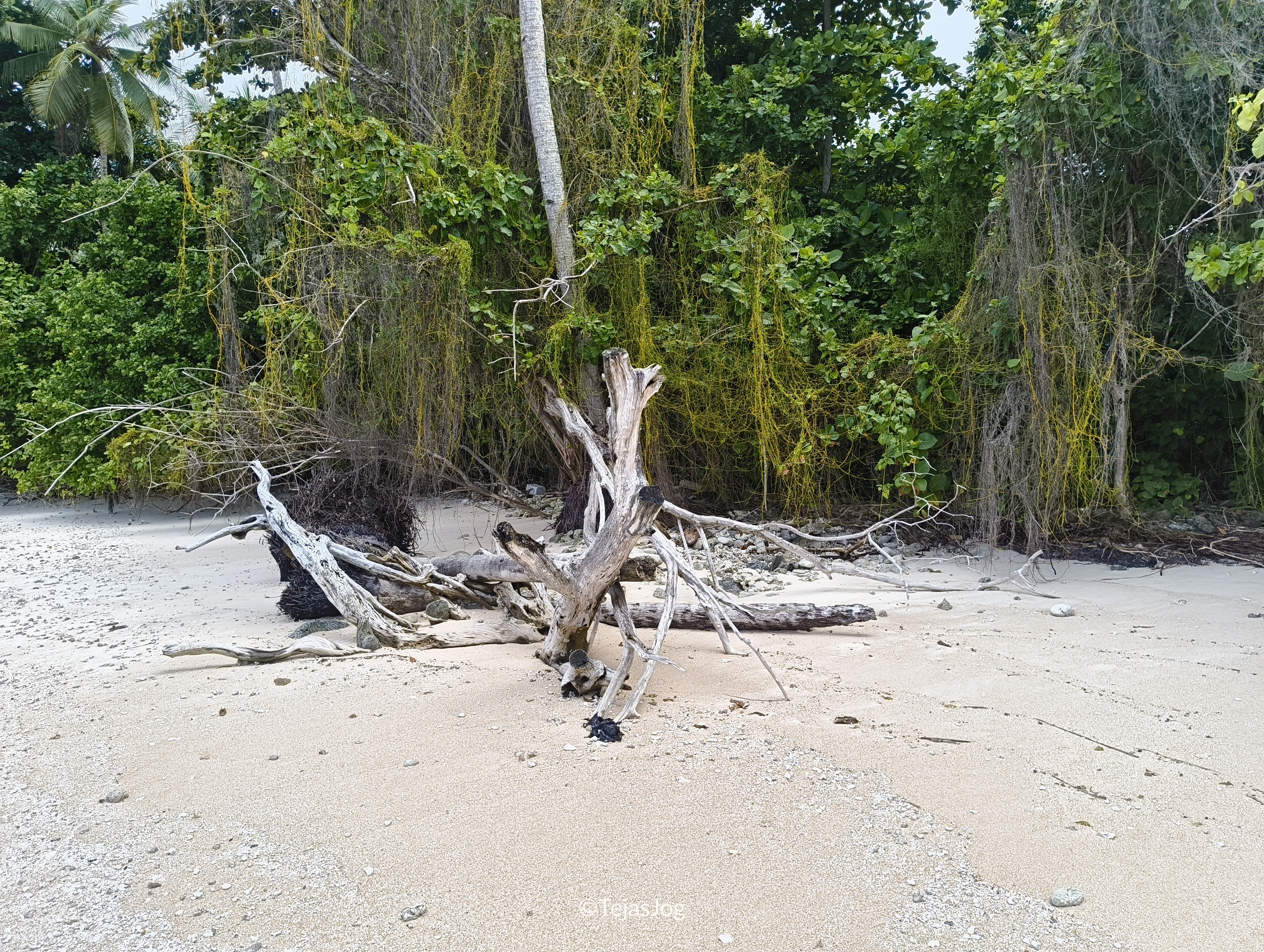 Northern coast of Eneko island