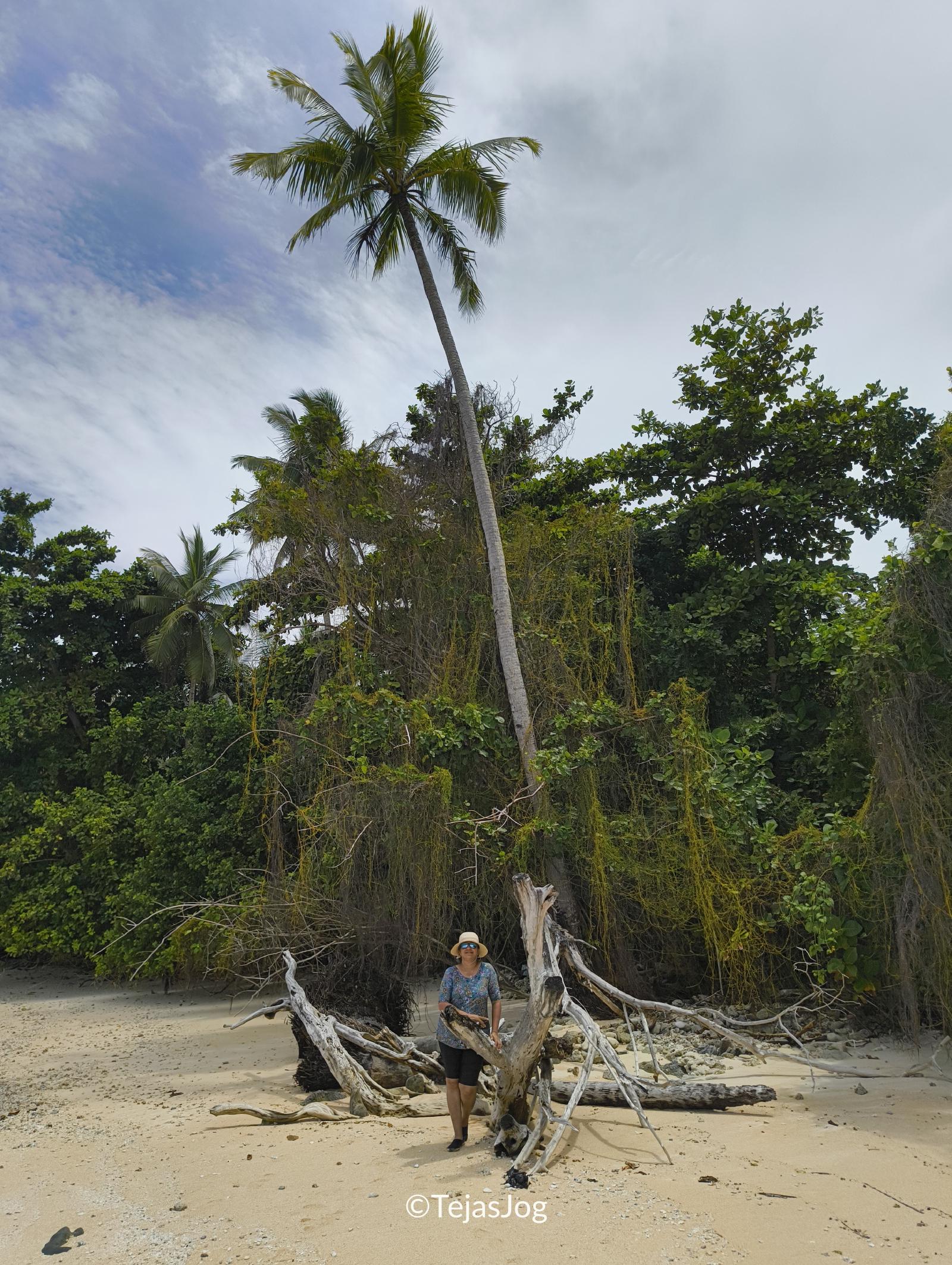 Northern coast of Eneko island Northern coast of Eneko island