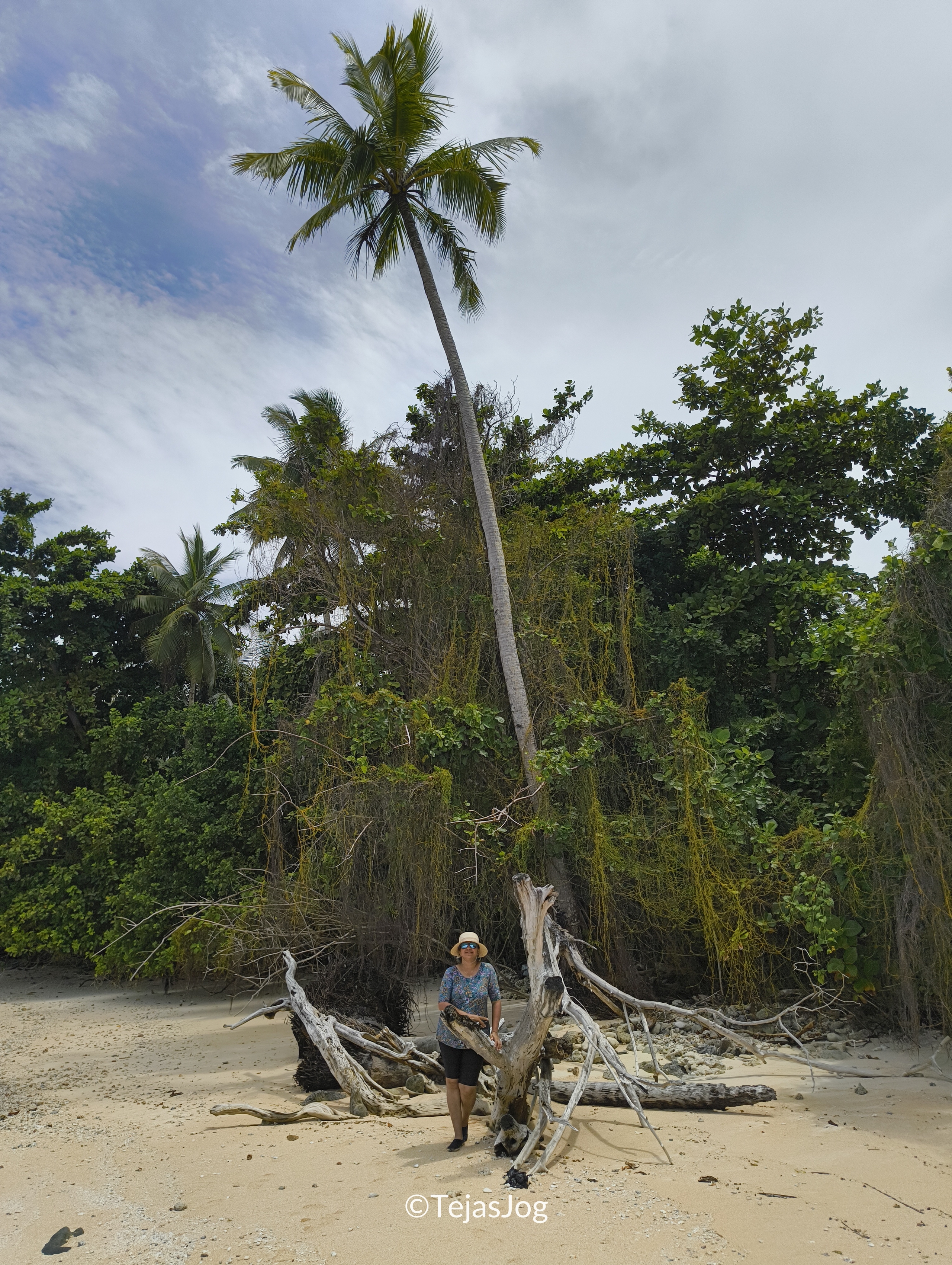 Northern coast of Eneko island