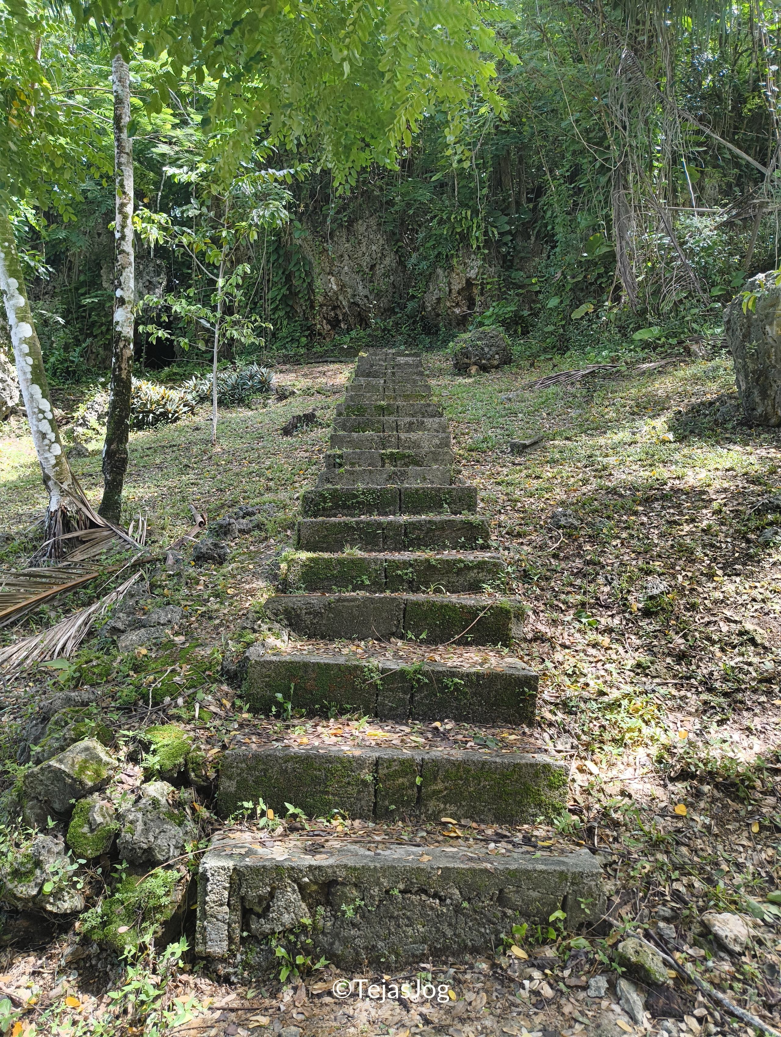 German Steps