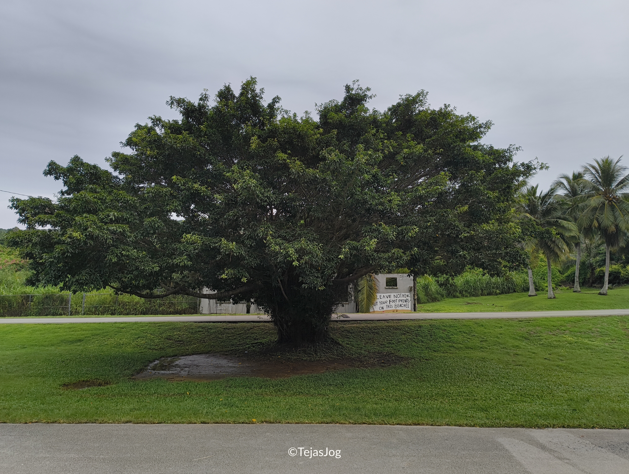 Snorkelling Snorkelling