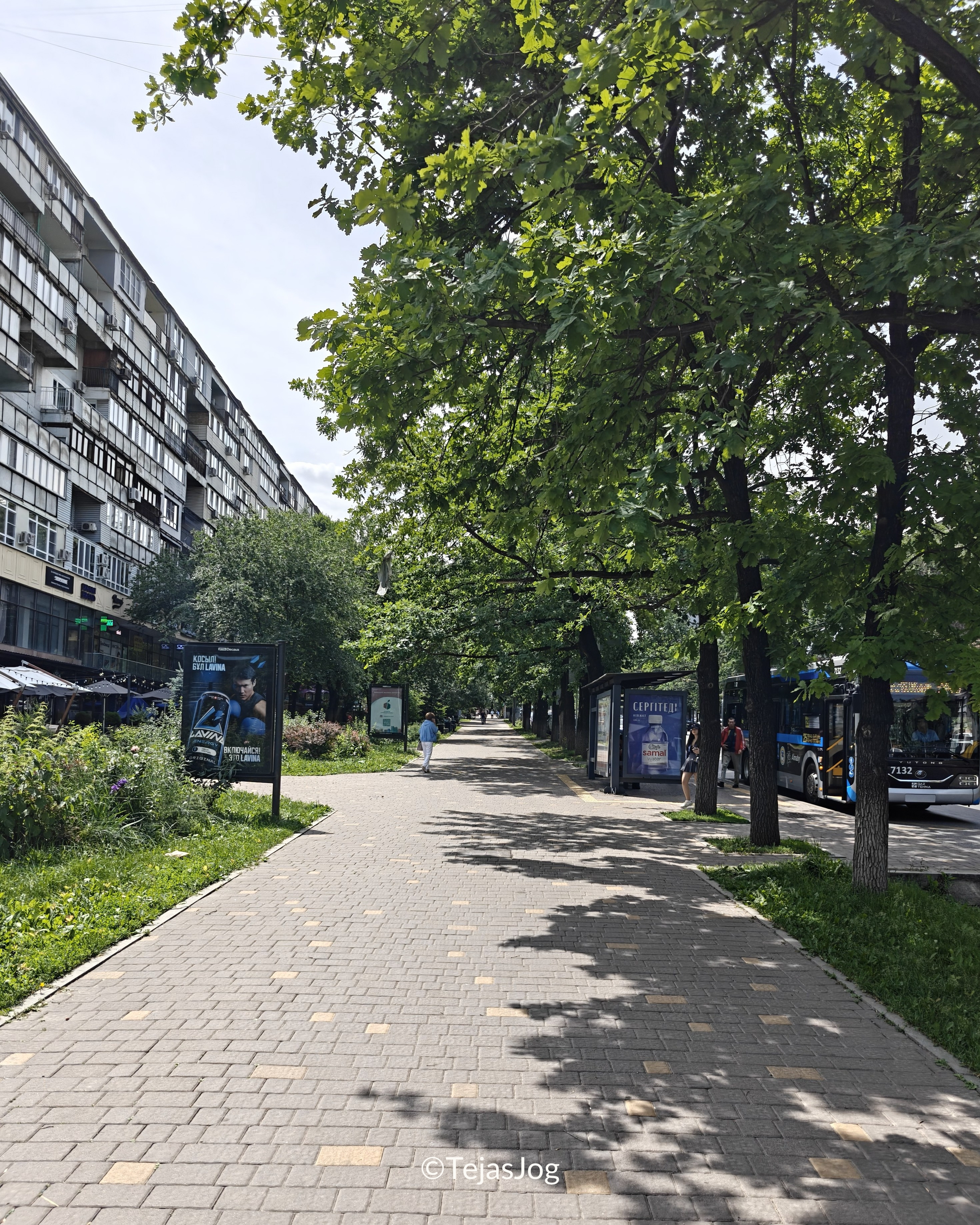 Dostyk Ave. Dostyk Ave.