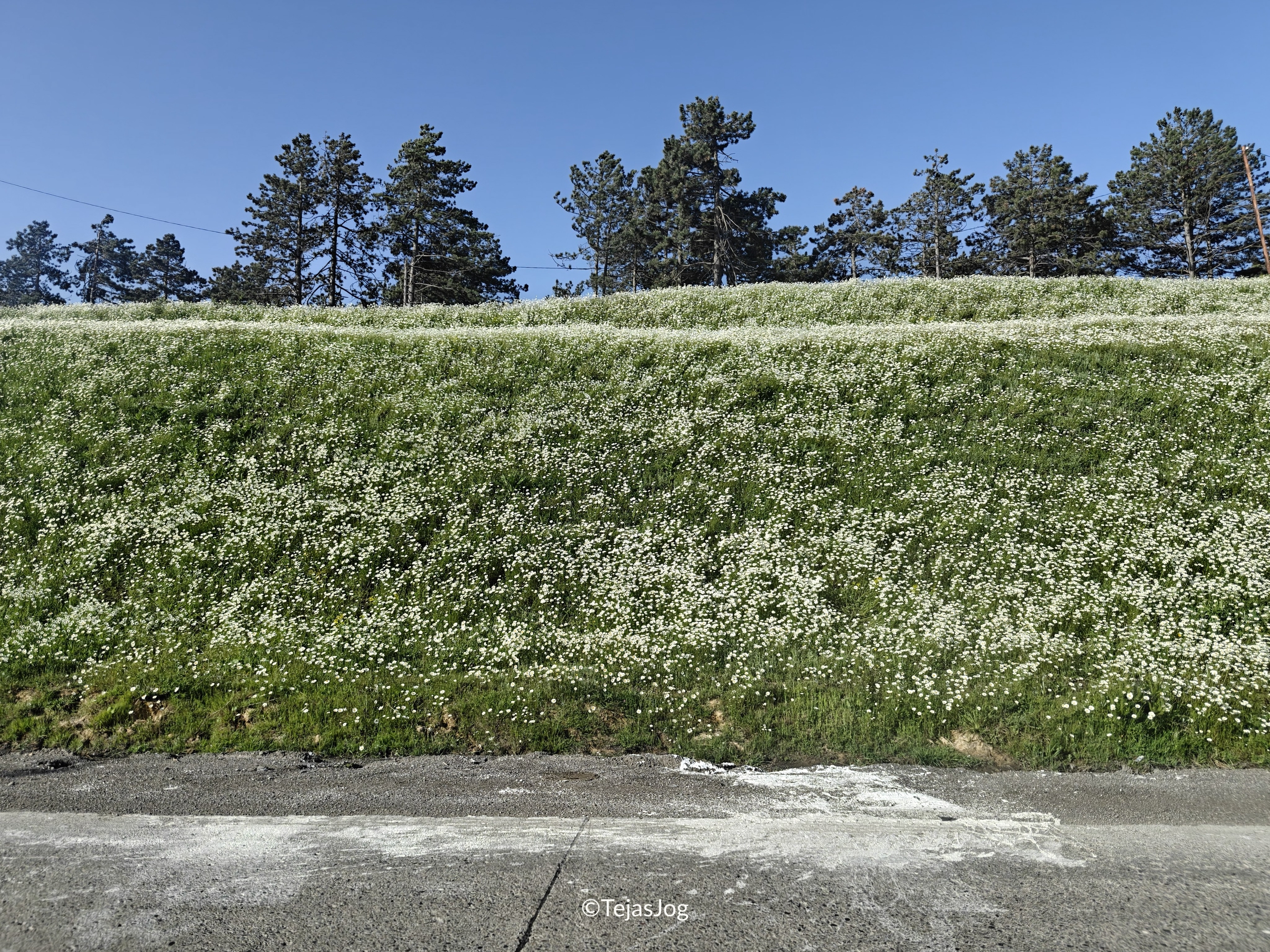 Driving from Kutaisi towards Tbilisi