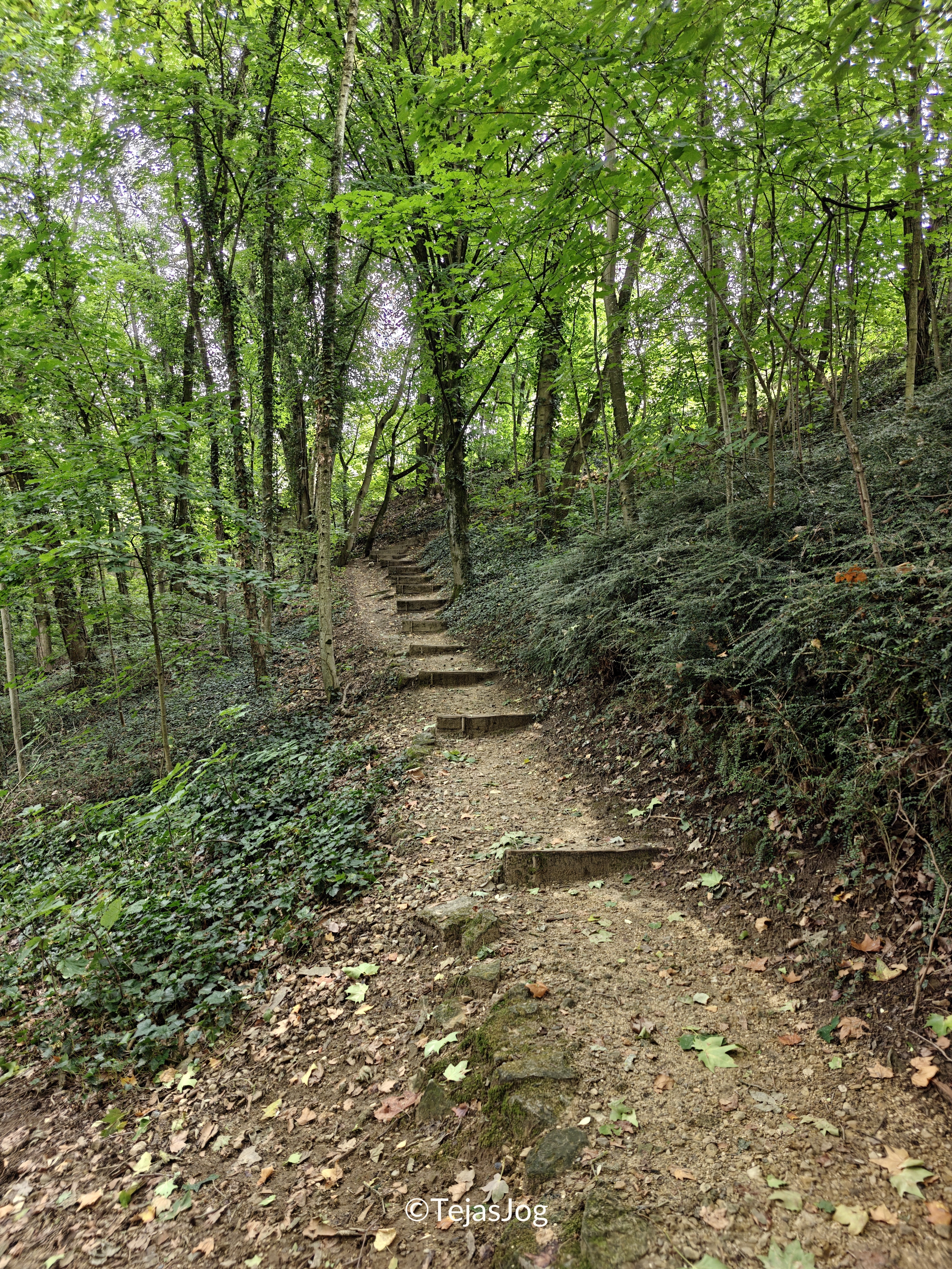 Walk along the Alzette Walk along the Alzette